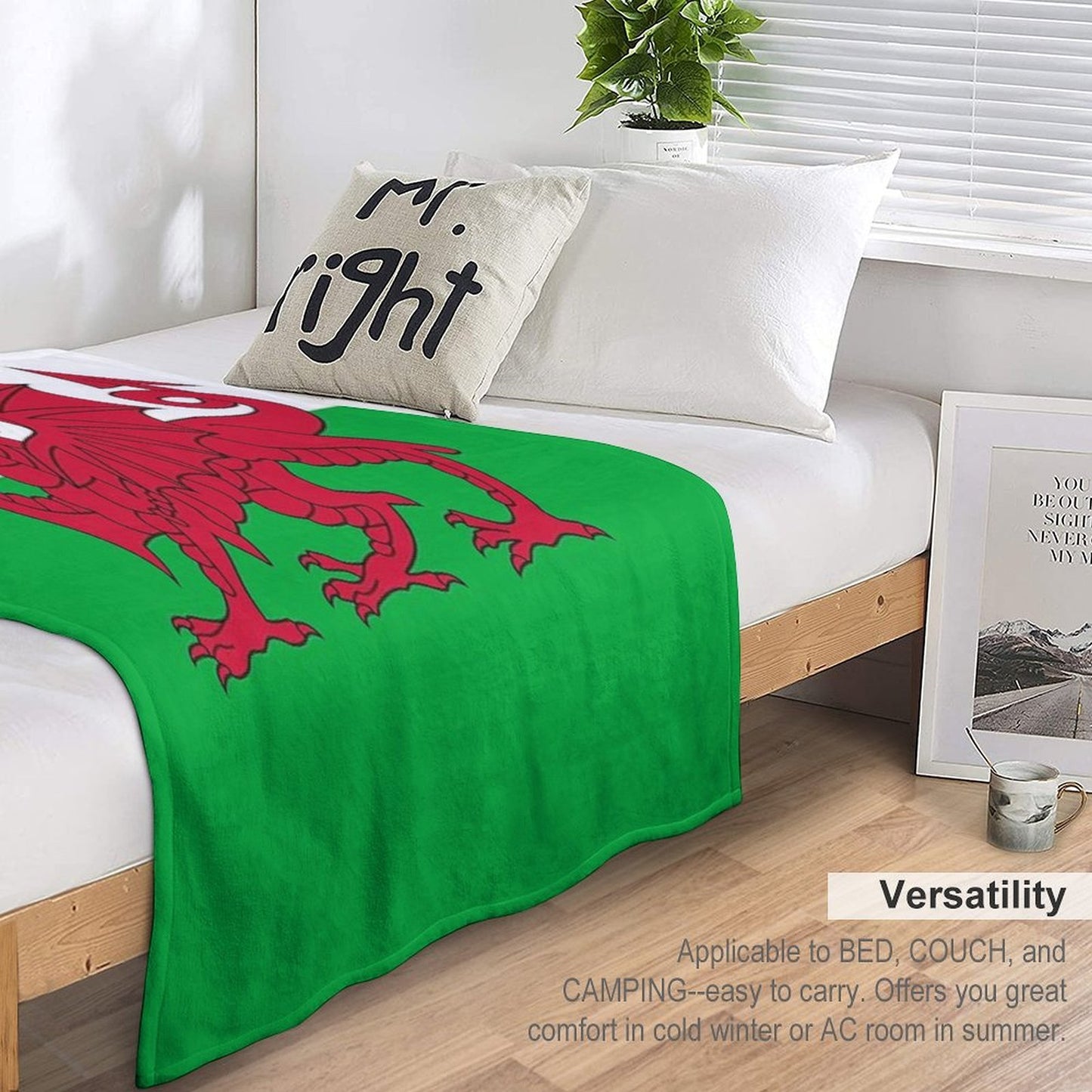 Flag of Wales - Welsh Flag Premium Throw Blanket