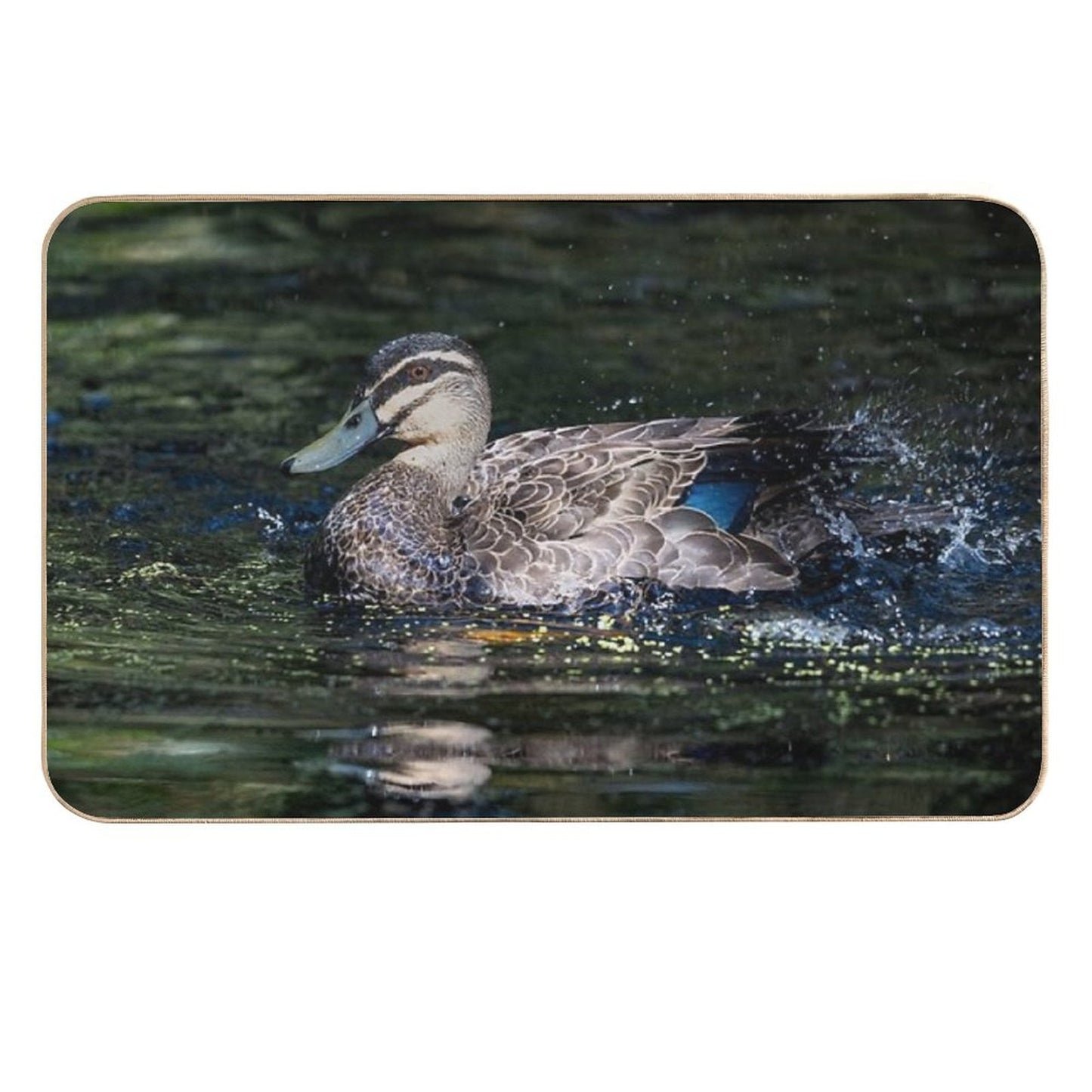 Pacific Duck in An Emerald Pond Rapid-Drying Bath Mat