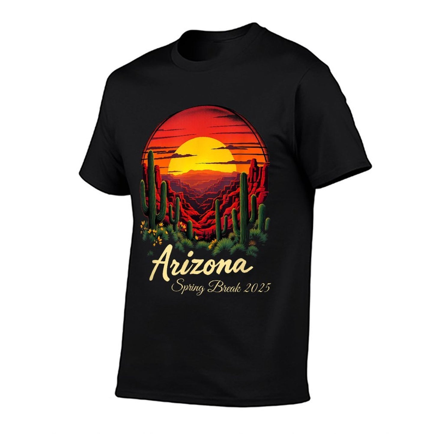 Spring Break 2025 Arizona Heathered Texture T-Shirt