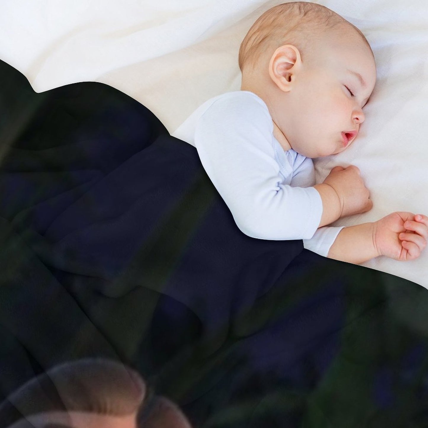 Bolbi Stroganovsky Durable Throw Blanket