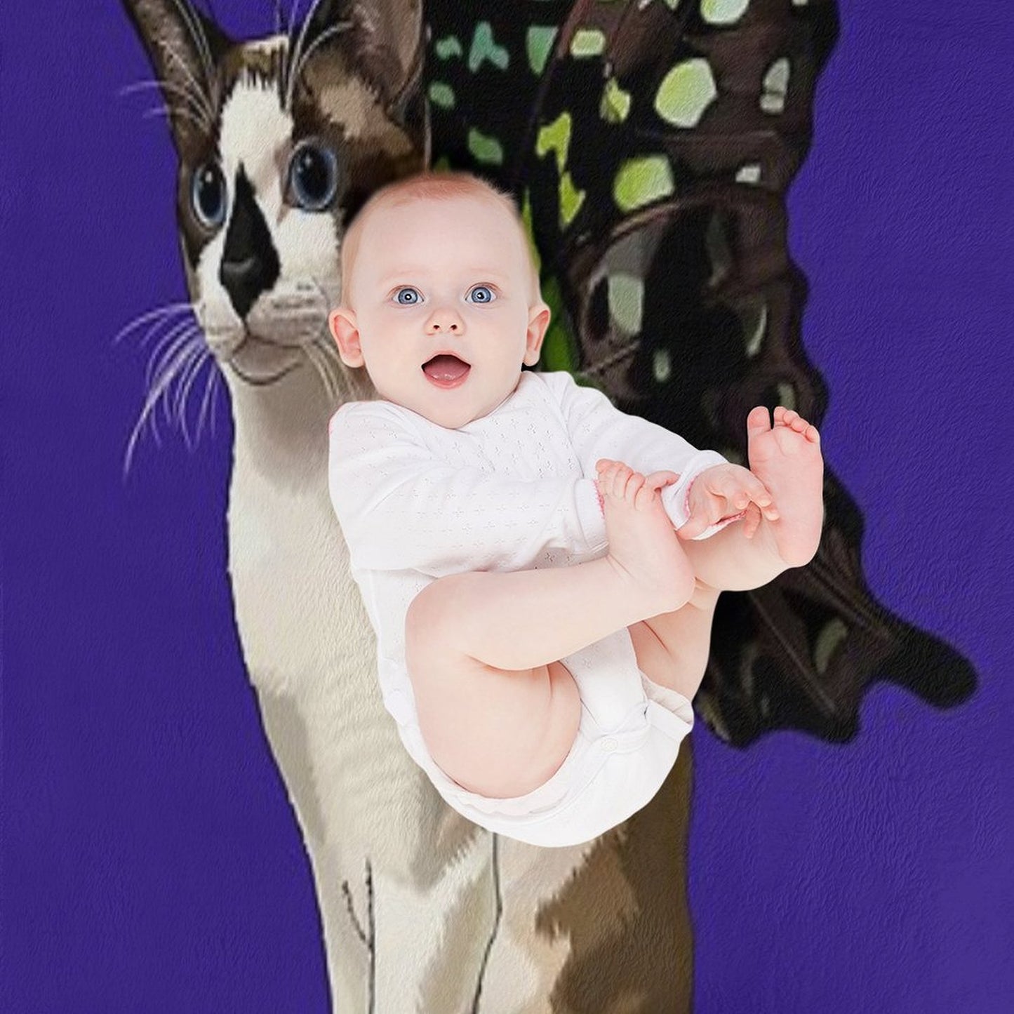 Seal Point Snowshoe Siamese Tailed Jay Butterfly Cat Wrinkle-free Throw Blanket