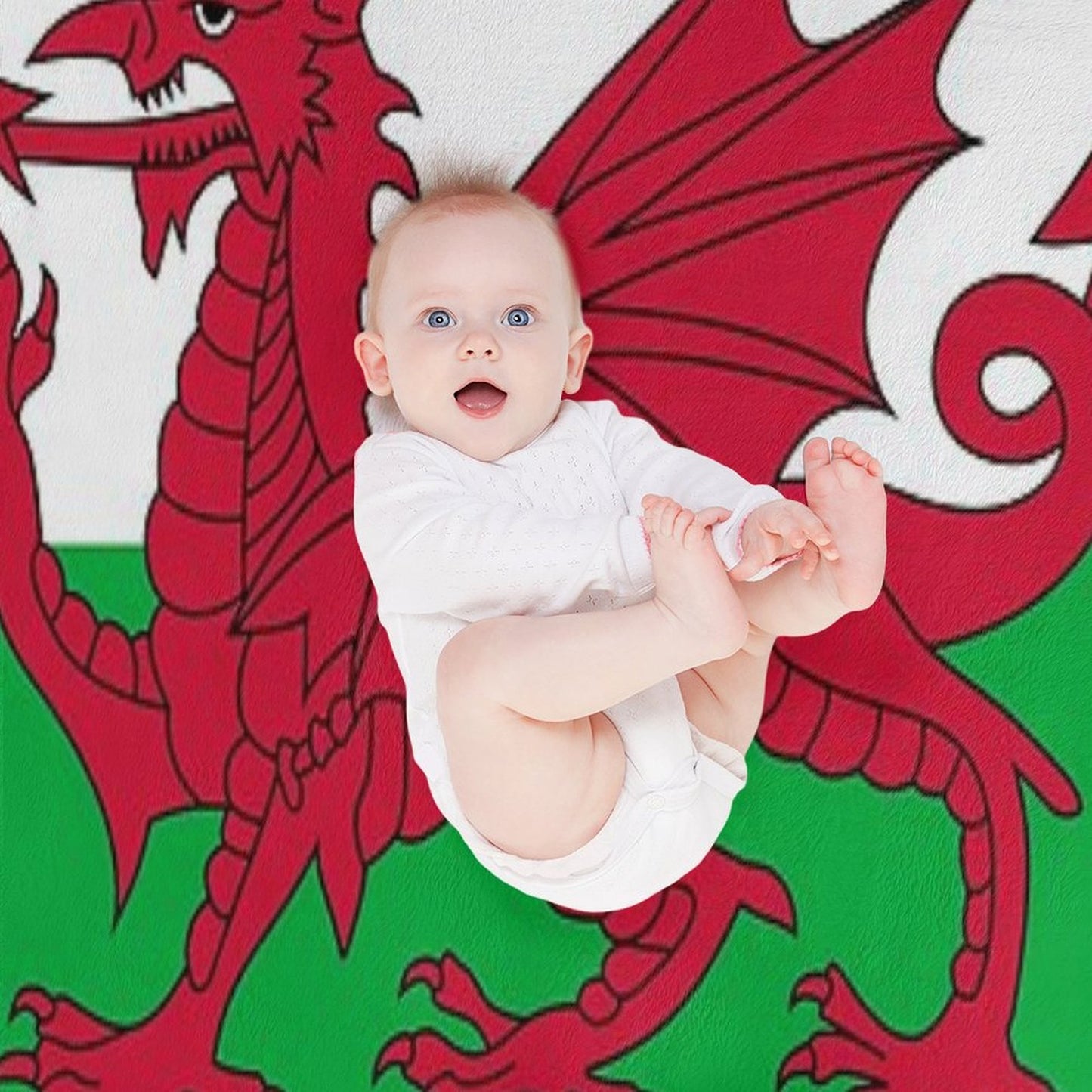 Flag of Wales - Welsh Flag Premium Throw Blanket
