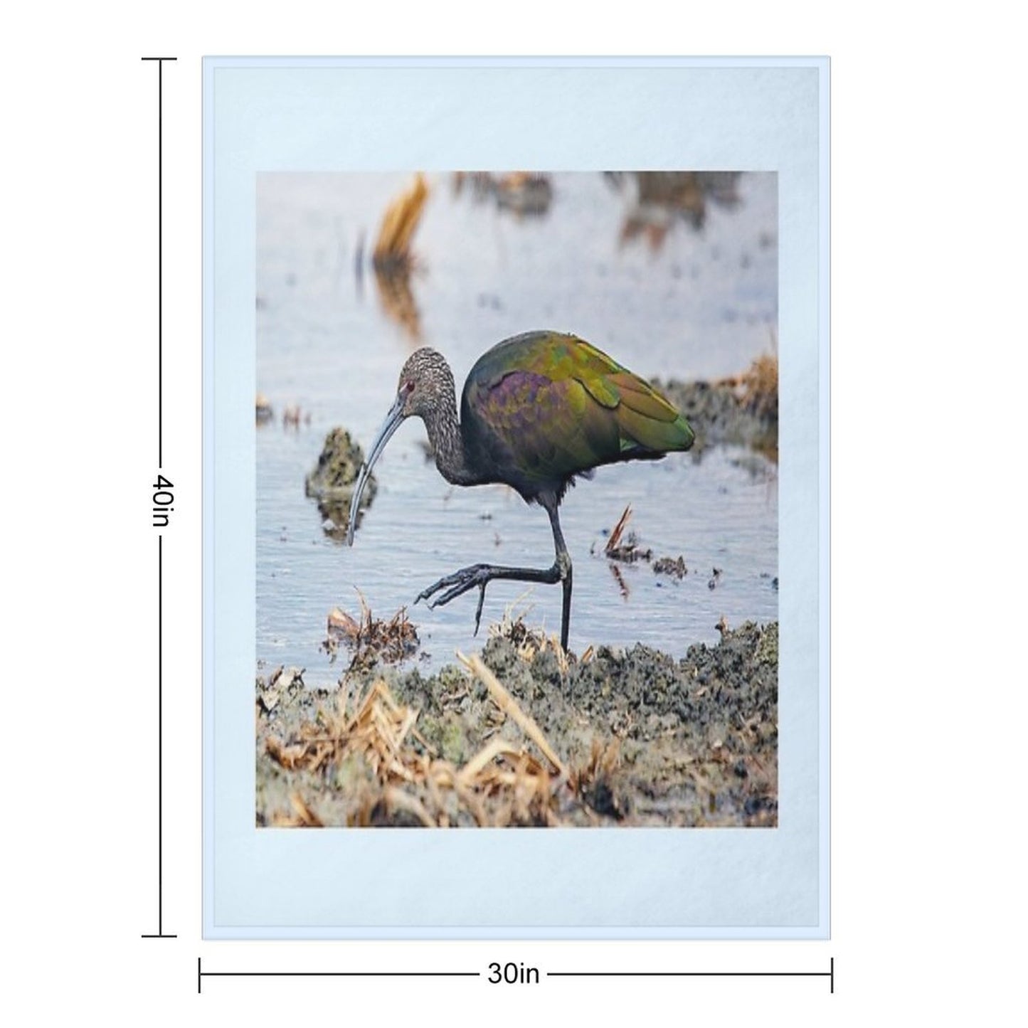 Glossy Ibis Shrink-resistant Throw Blanket