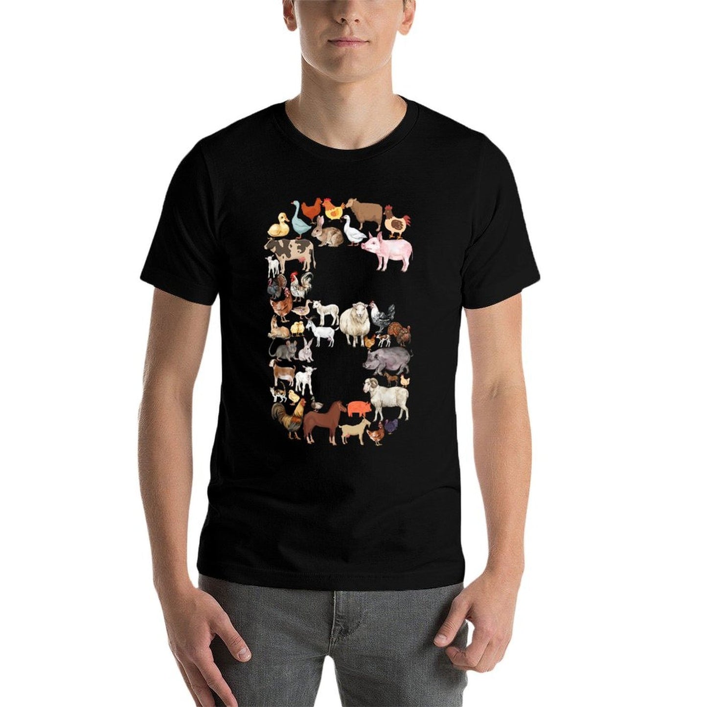 Fun 6th Birthday Farm Animals Theme Boy Kids 6 Year Old Bday Classic T-Shirt