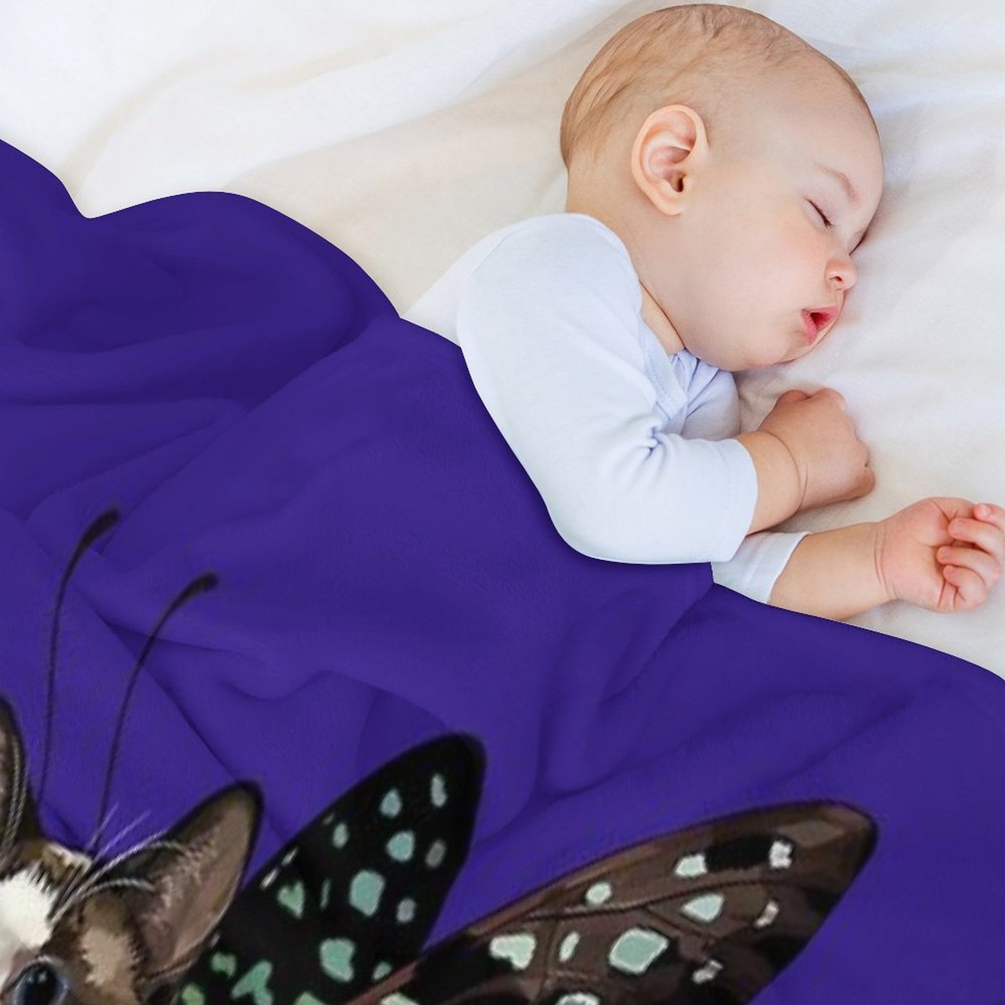 Seal Point Snowshoe Siamese Tailed Jay Butterfly Cat Wrinkle-free Throw Blanket