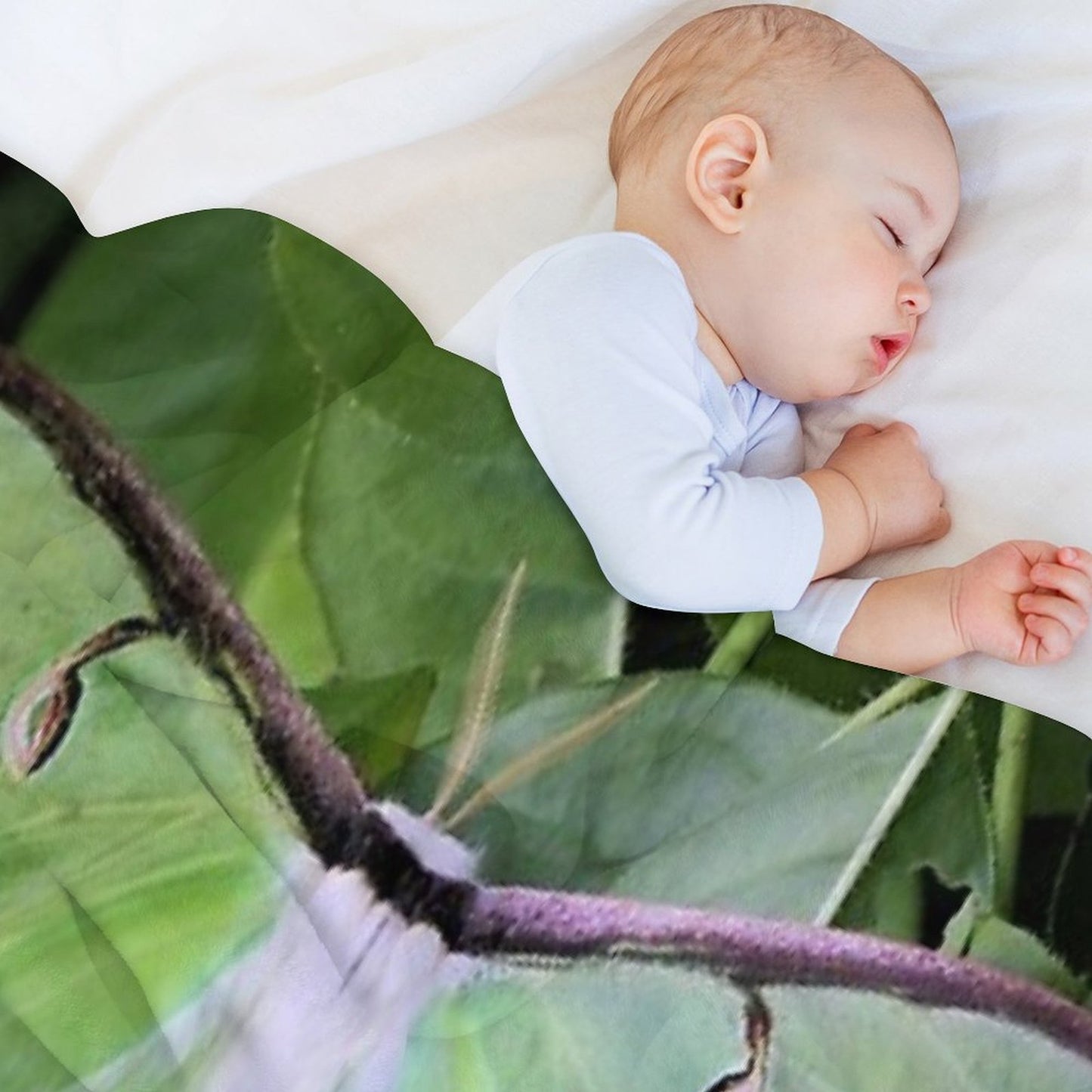 Luna Moth Sustainable Throw Blanket