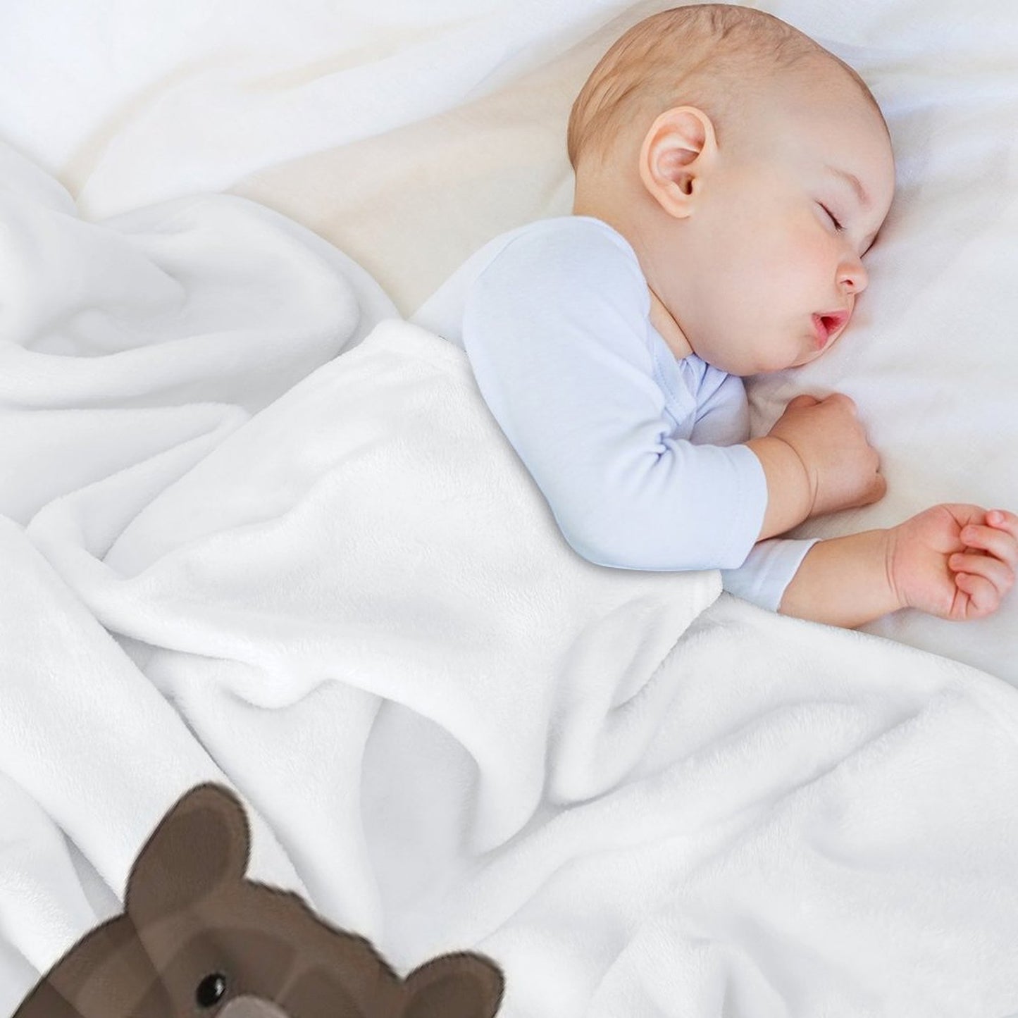 Bears of The World Lightweight Throw Blanket