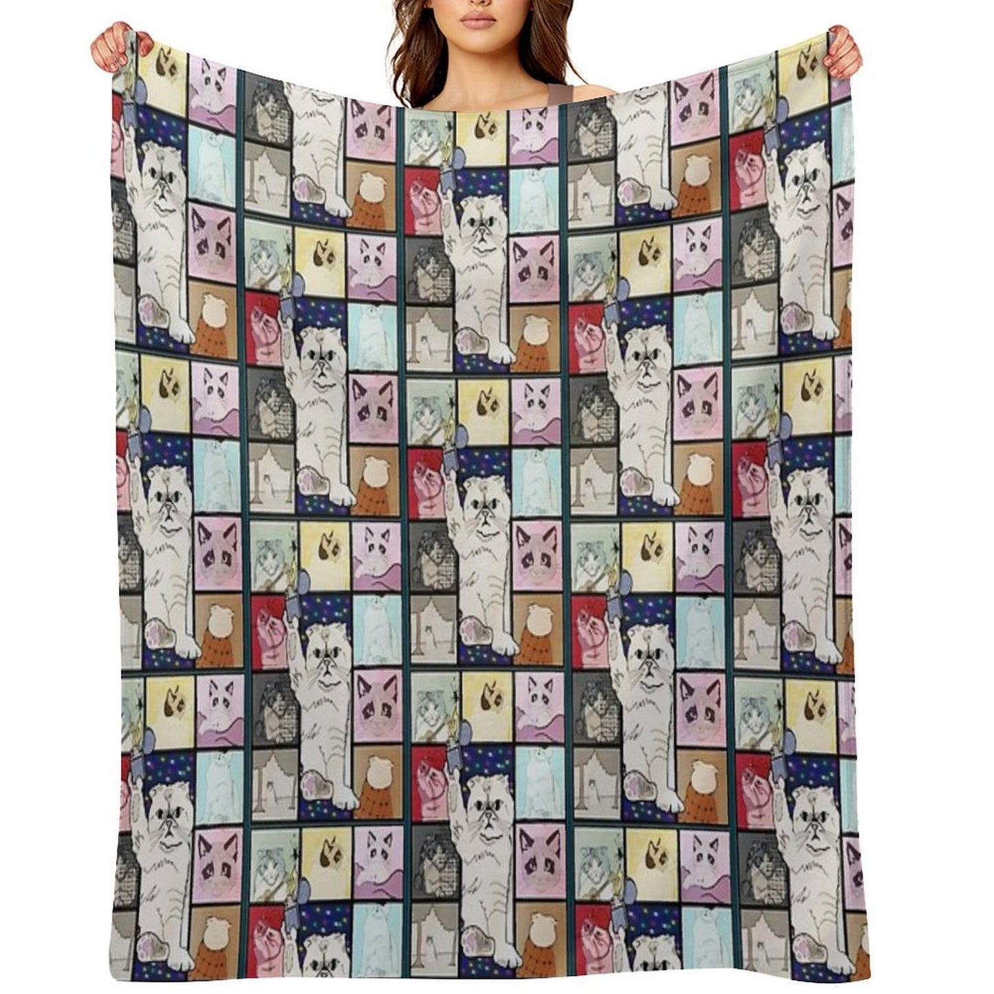 The Eras Tour Cat Version Plush Throw Blanket