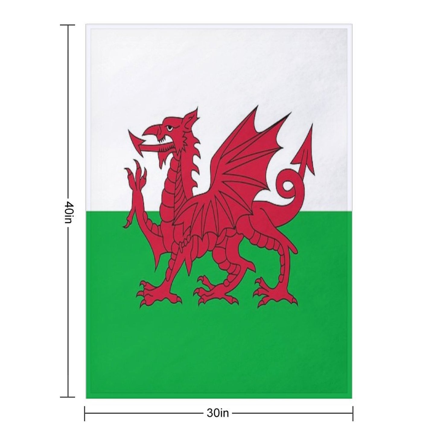 Flag of Wales - Welsh Flag Premium Throw Blanket