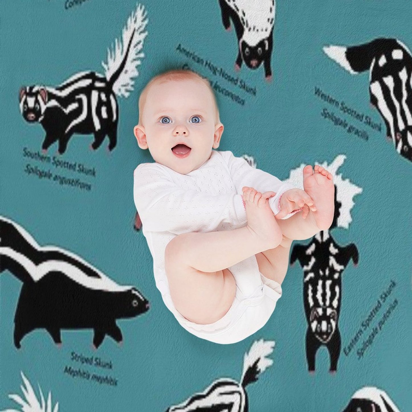 Skunks of The World Species of Family Mephitidae Machine-washable Throw Blanket