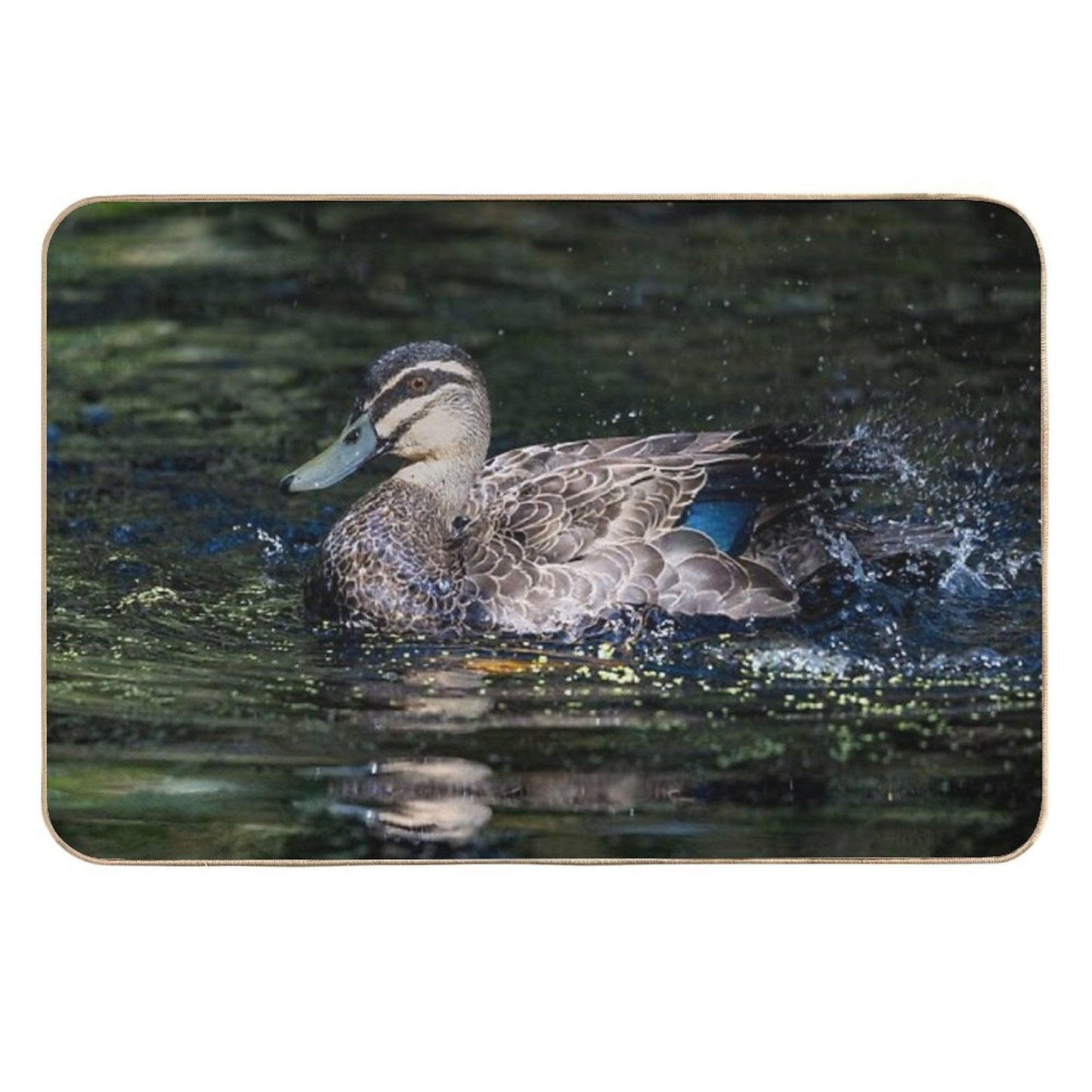 Pacific Duck in An Emerald Pond Rapid-Drying Bath Mat