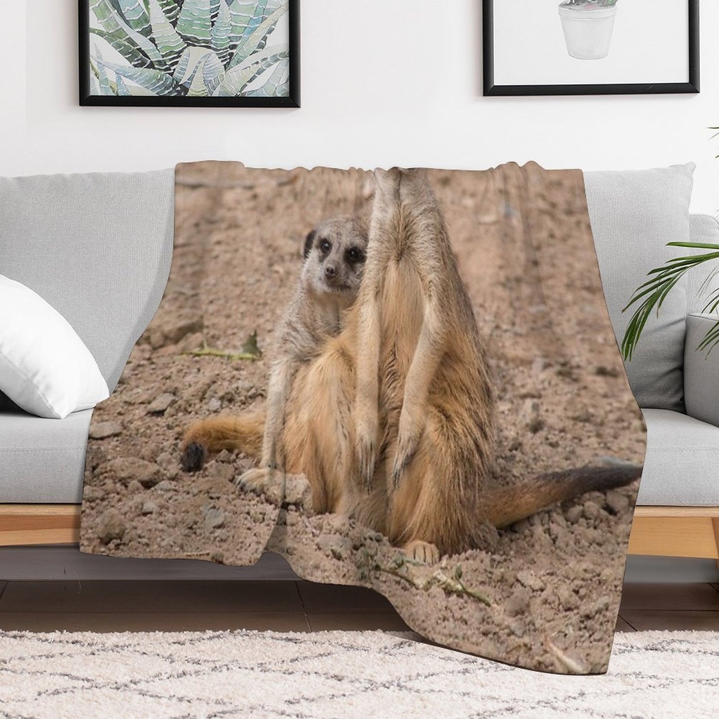 African Animals Male And Female Meerkats Anti-pilling Throw Blanket