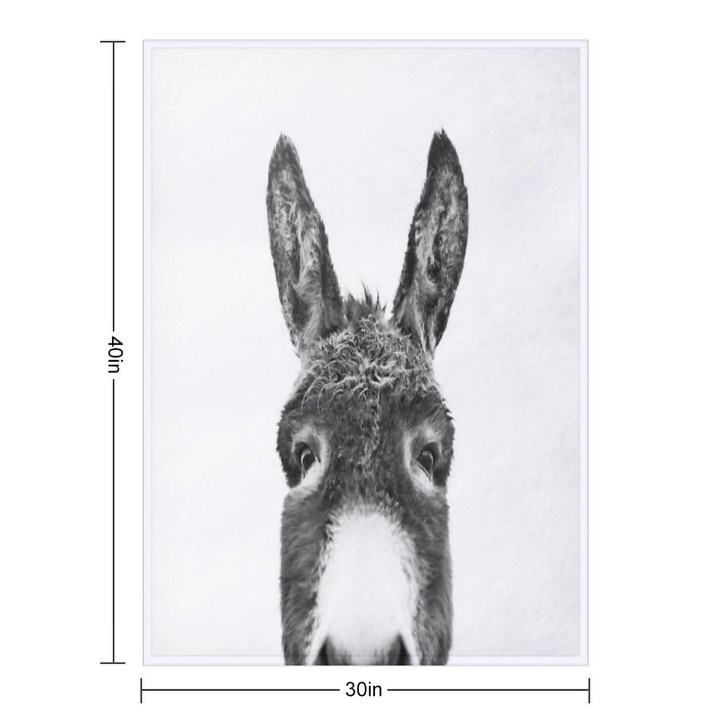 Peeking Donkey Multi-functional Throw Blanket
