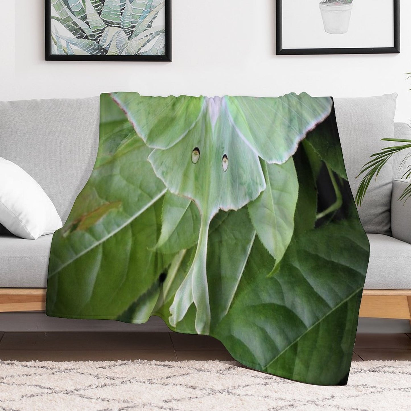 Luna Moth Sustainable Throw Blanket