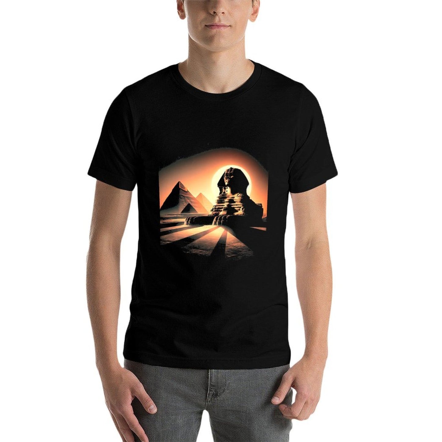 Sphinx at Sunset - Pyramids View Premium  Heathered Texture T-Shirt