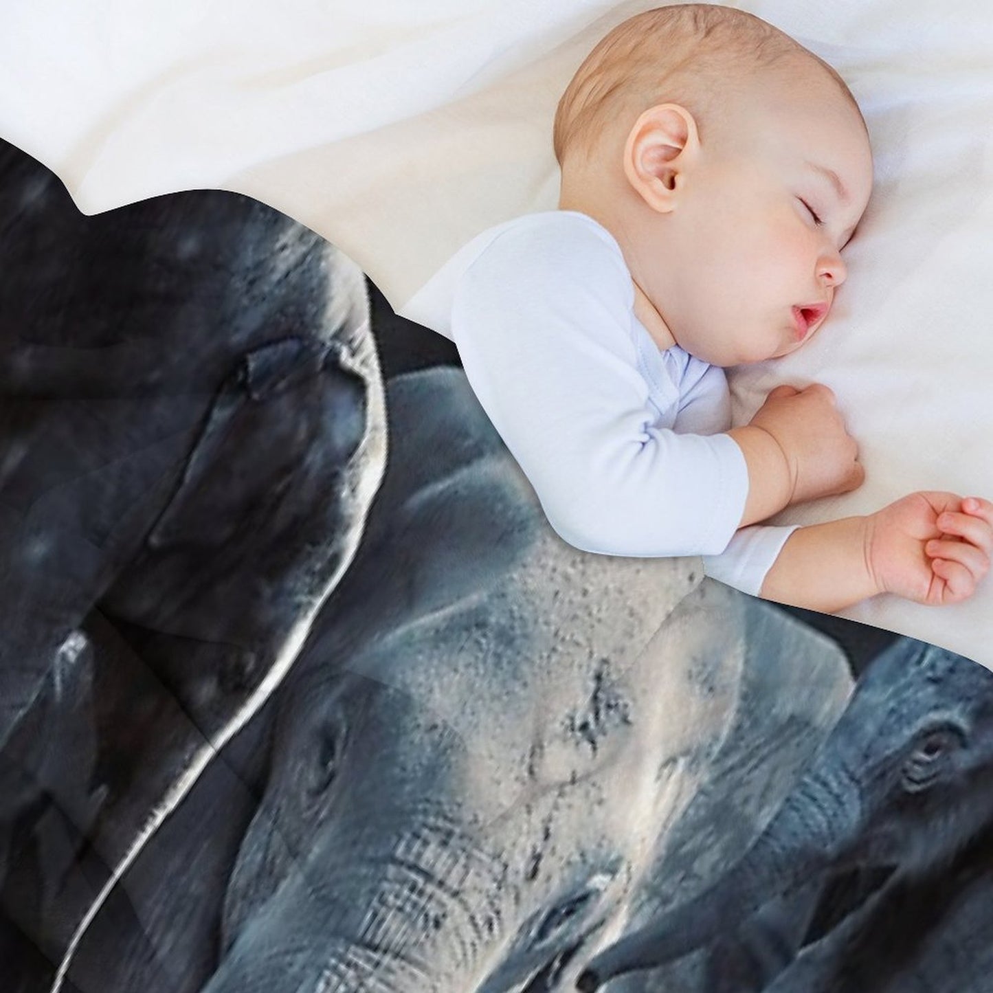 Elephants Plush Throw Blanket