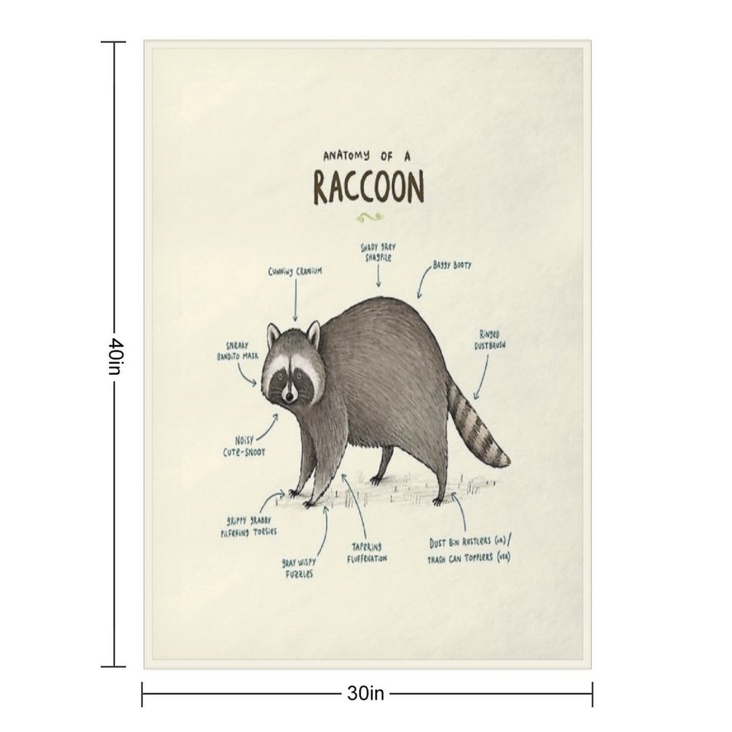 Anatomy of A Raccoon Anti-pilling Throw Blanket