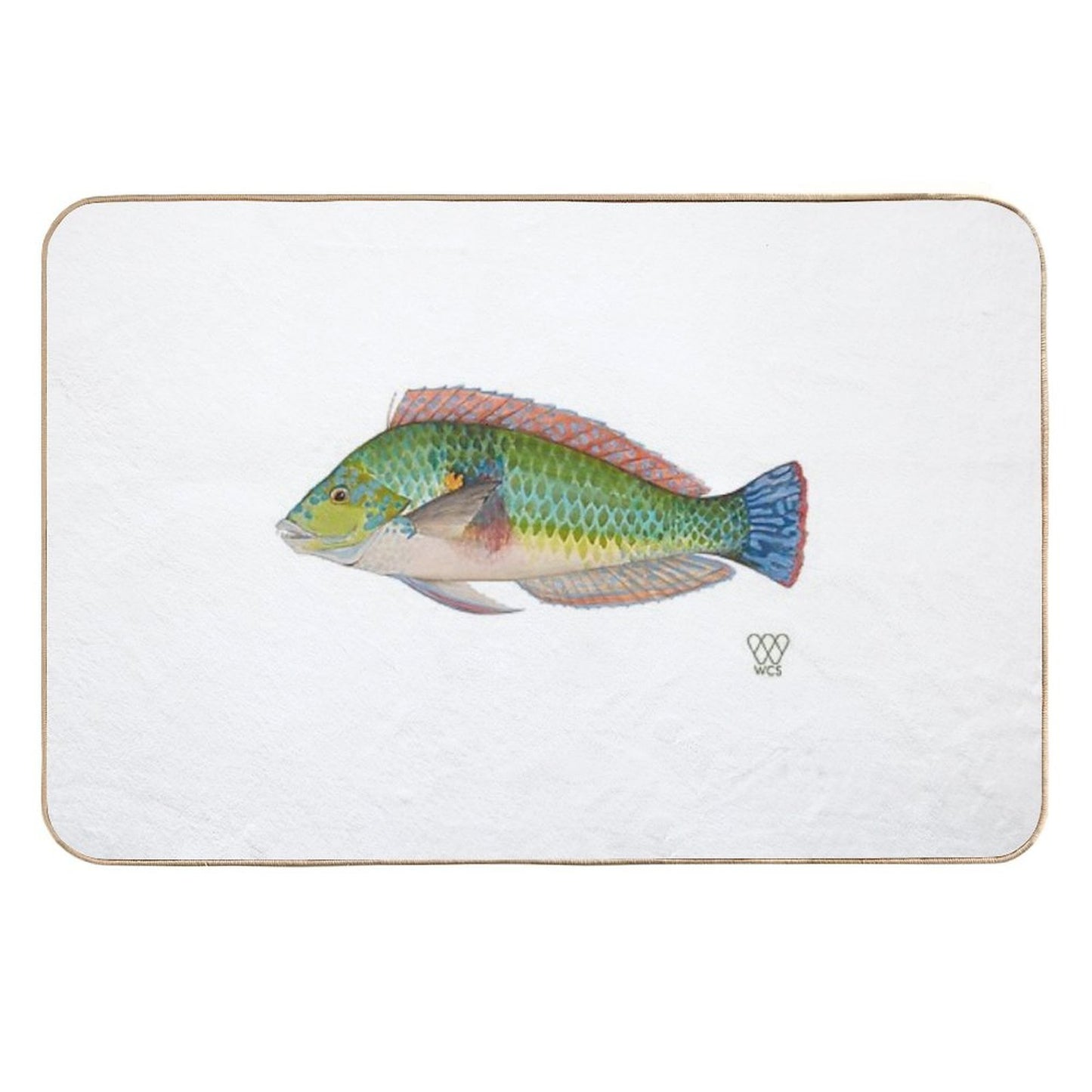 Green Parrot Fish Repositionable Bath Mat