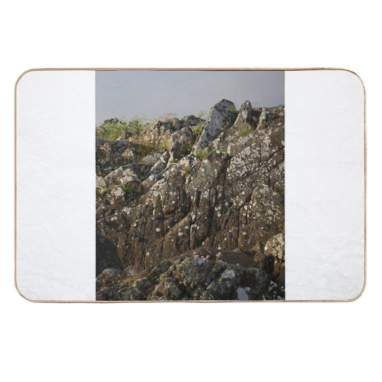 Growing on Stone Dirt-Trapping Bath Mat