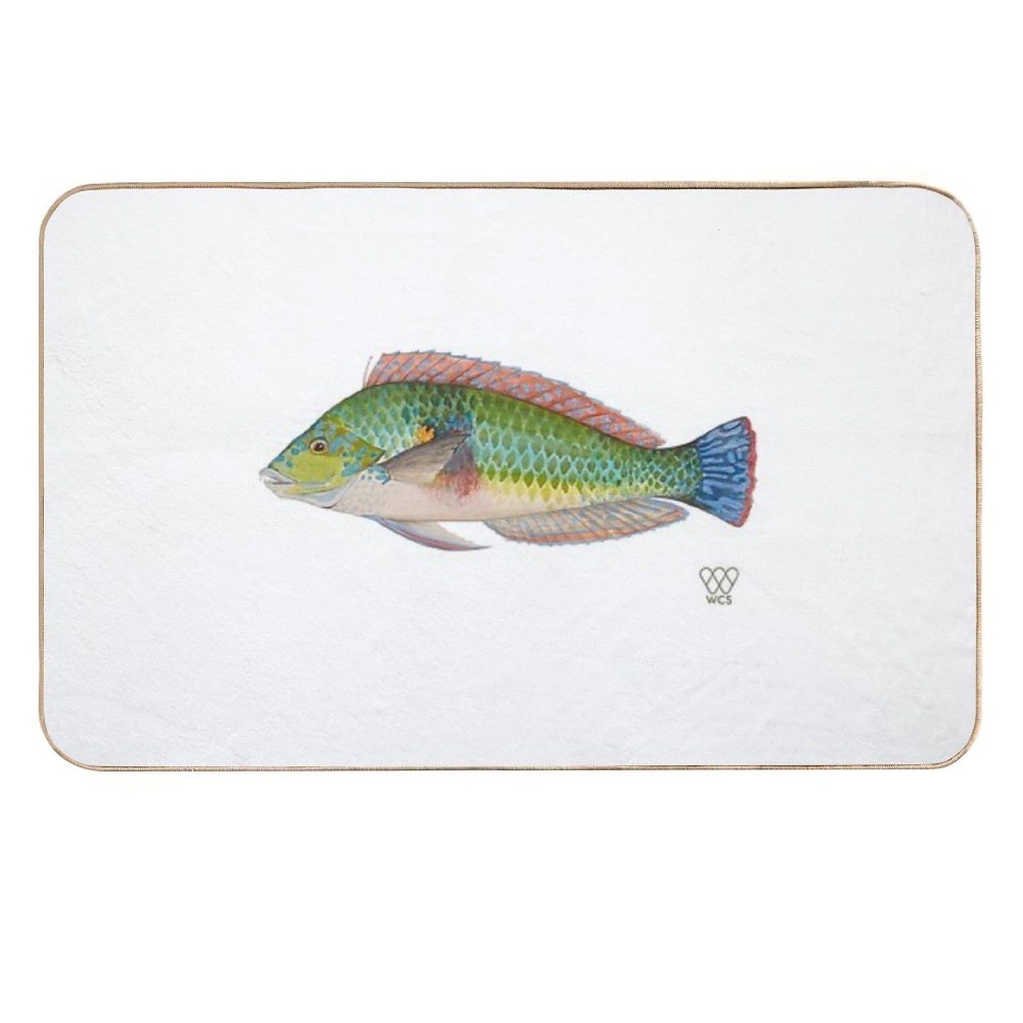 Green Parrot Fish Repositionable Bath Mat