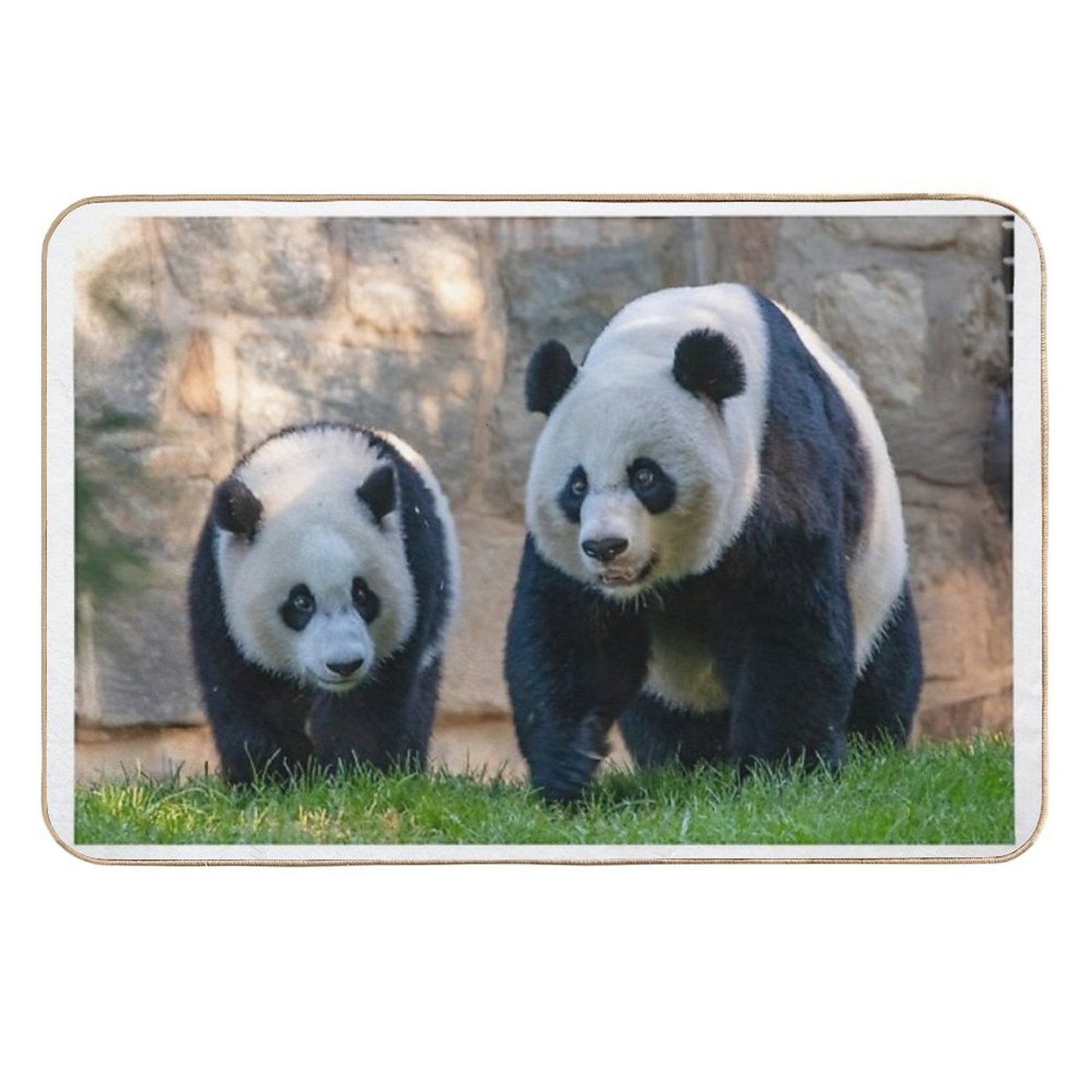 Giant Pandas Xiao Qi Ji And Mei Xiang at The Smithsonian's National Zoo Anti-Trip Bath Mat