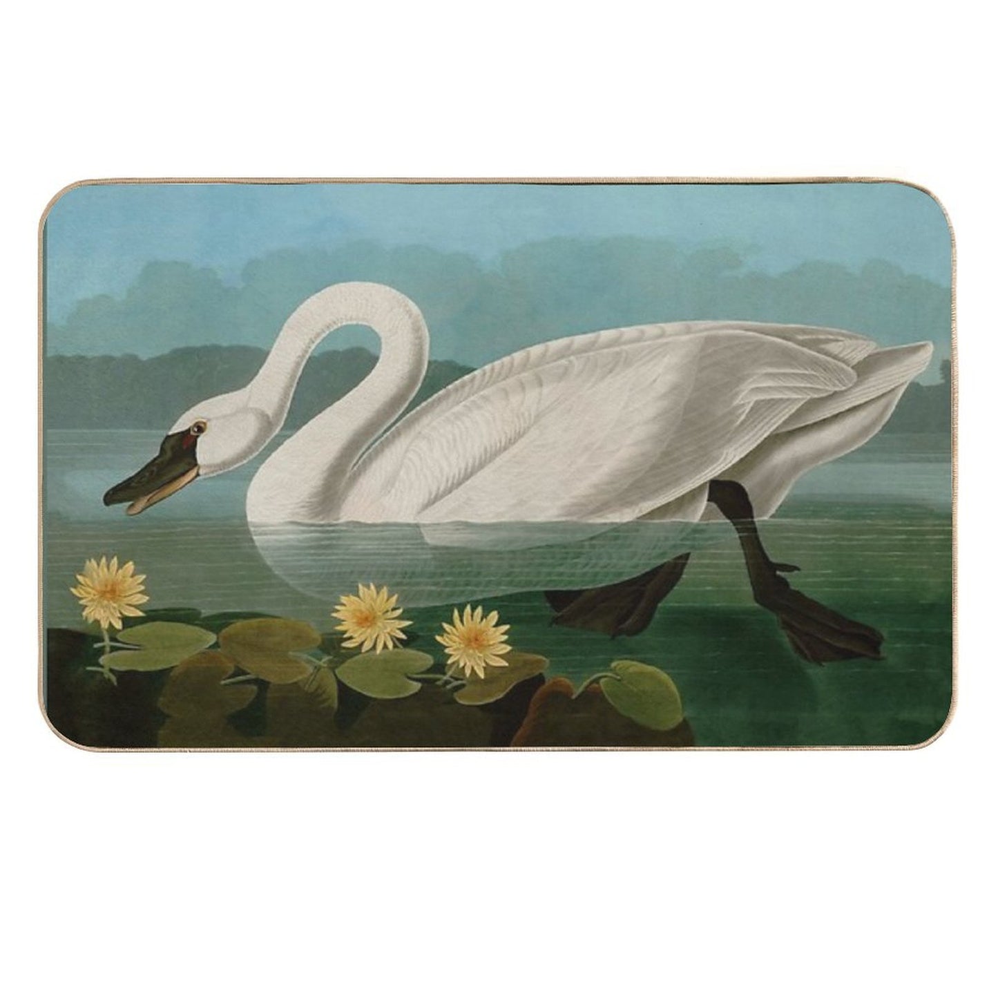 Common American Swan Birds of America Audubon Illustration Bird Lovers Gift Odorless Bath Mat