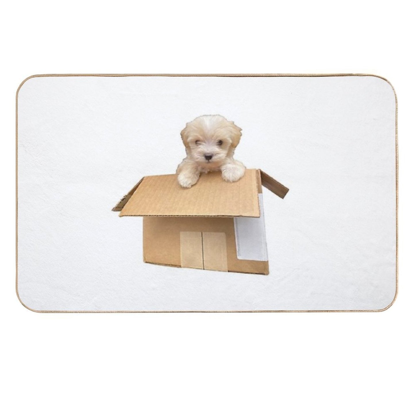 Cute Maltipoo Puppy in A Box Easy Maintenance Bath Mat