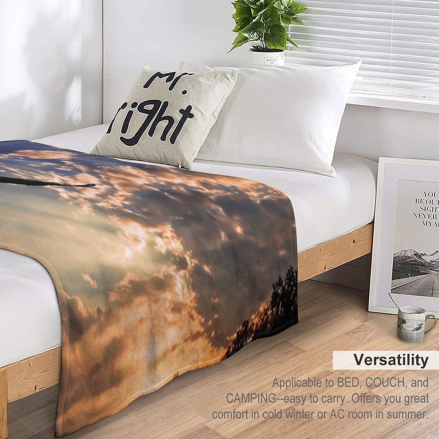 High Soaring Bald Eagle Comfort Throw Blanket