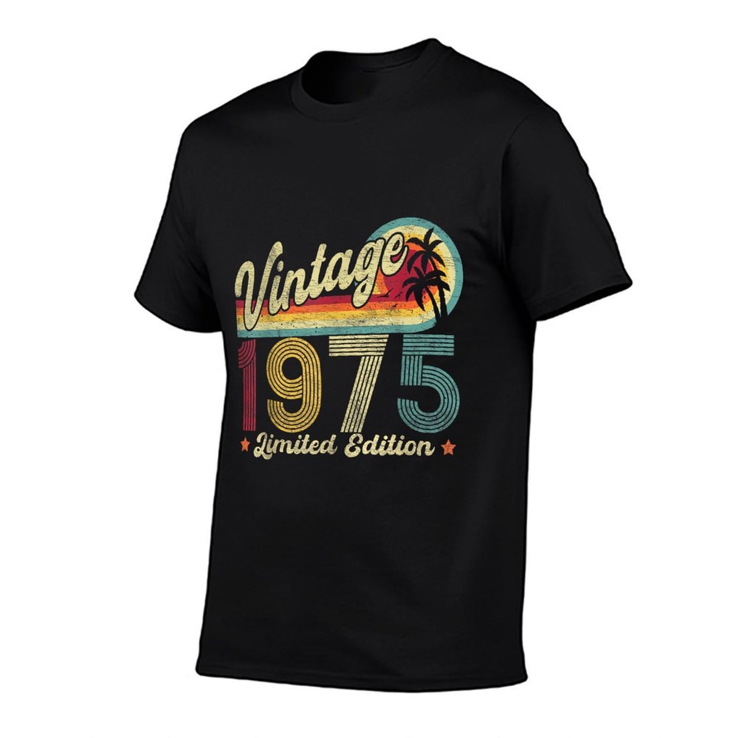 Vintage 1975 50 Year Old Gifts Limited Edition 50th Birthday Heathered Texture T-Shirt
