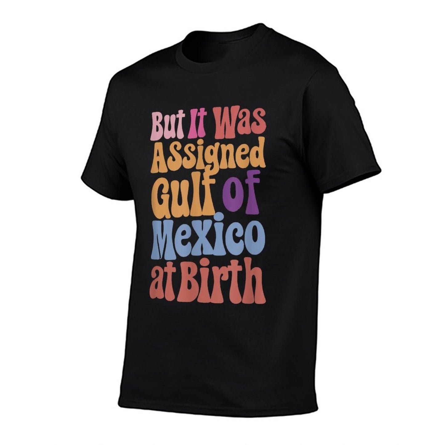 But It Was Assigned Gulf of Mexico at Birth Affordable Price T-Shirt