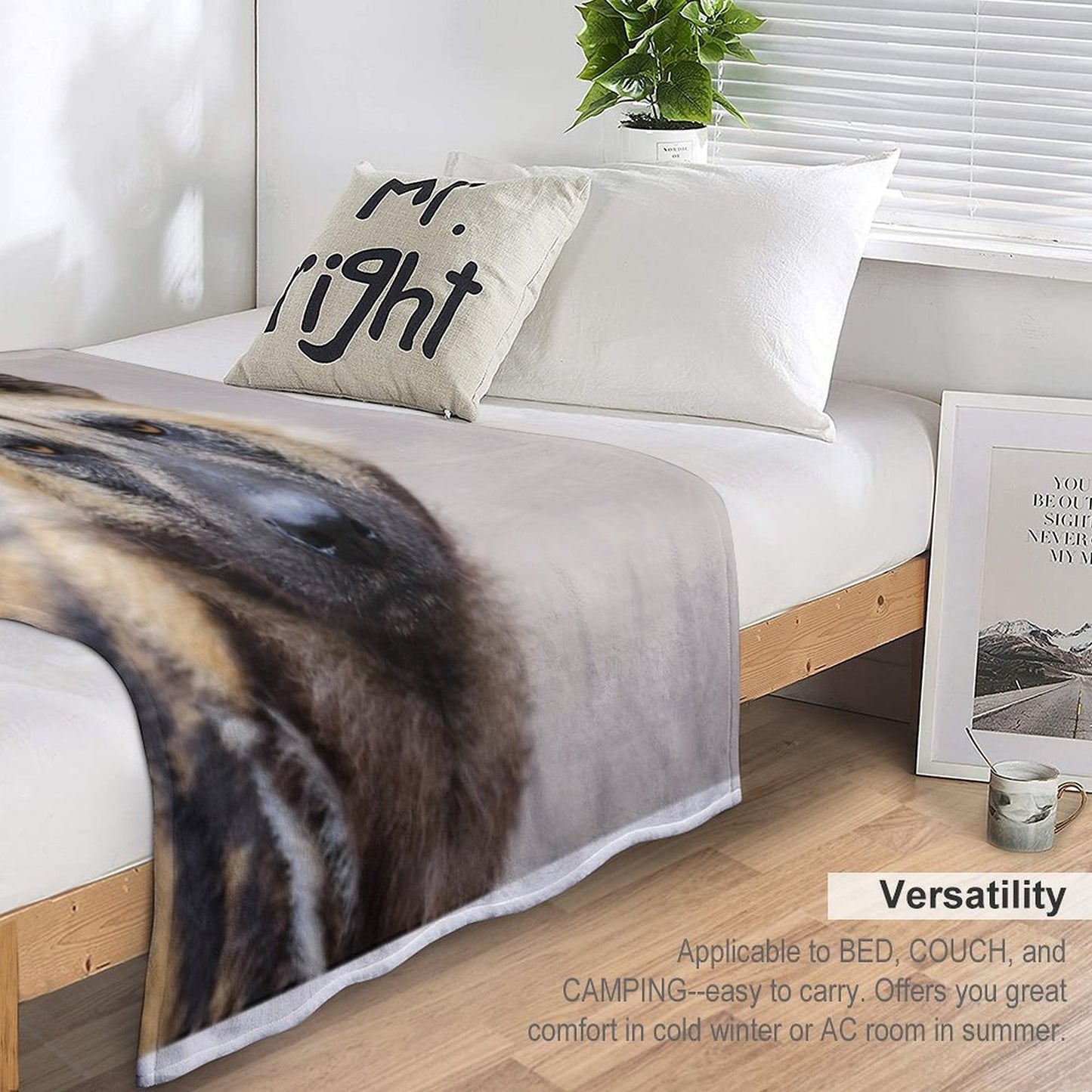 African Wild Dog All-season Throw Blanket