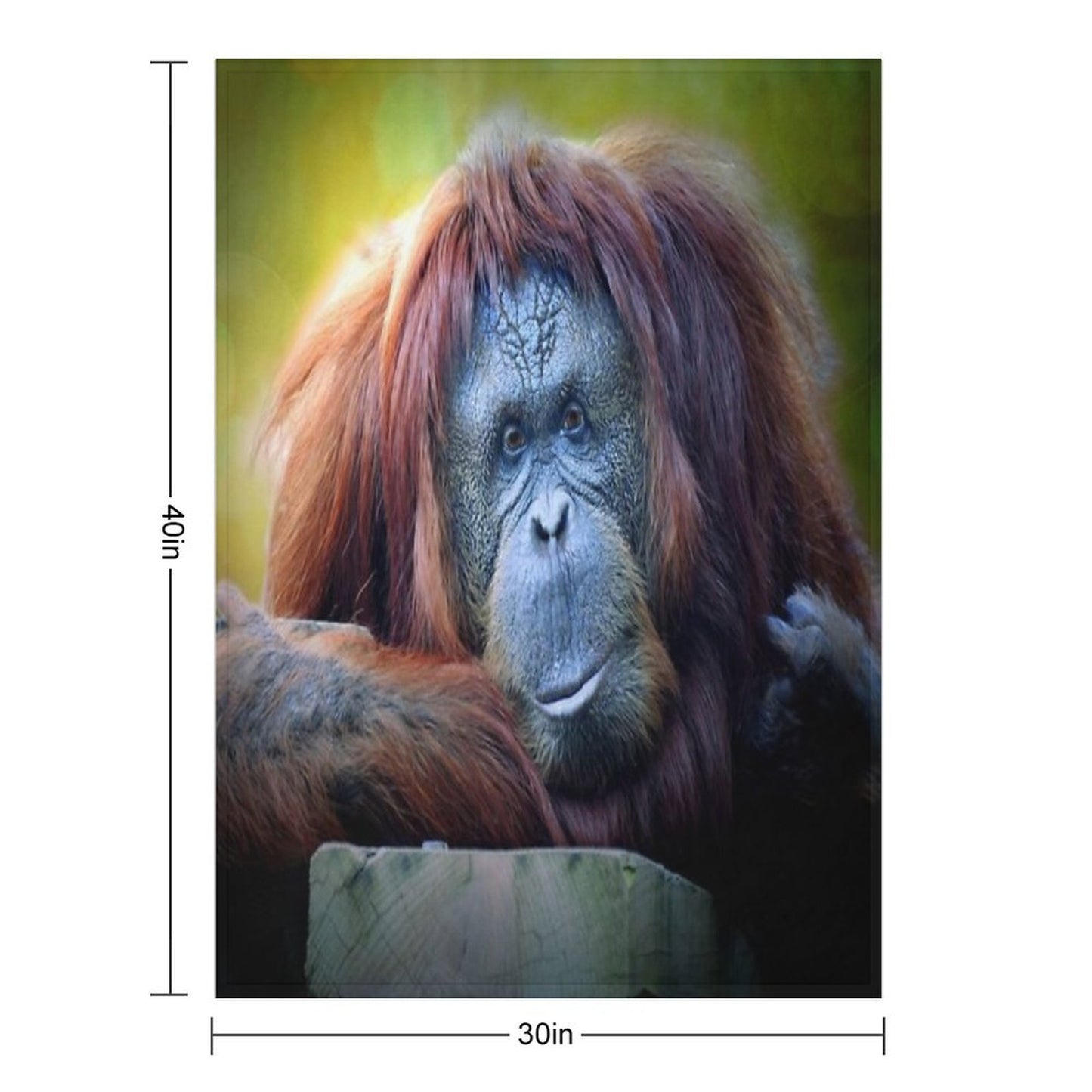 Orangutan Wrinkle-free Throw Blanket
