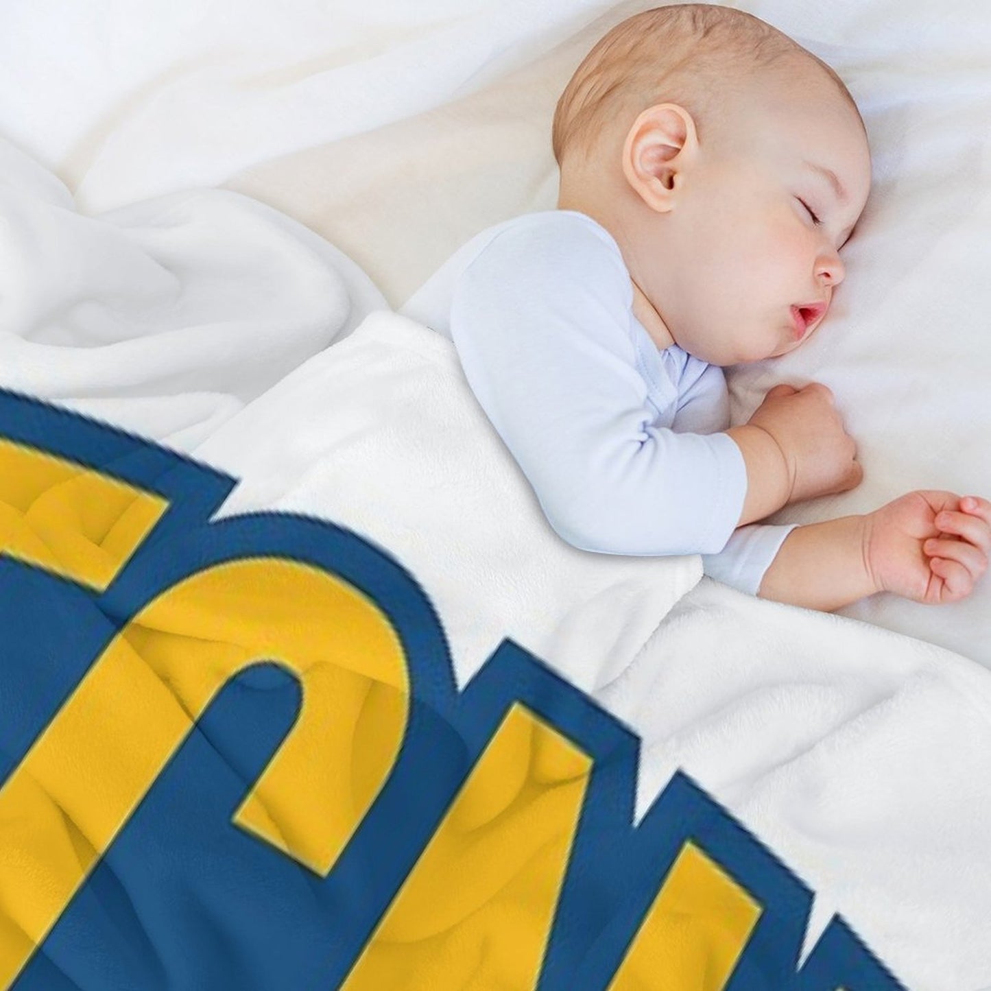TCNJ Lions Collegiate Arch Comfort Throw Blanket