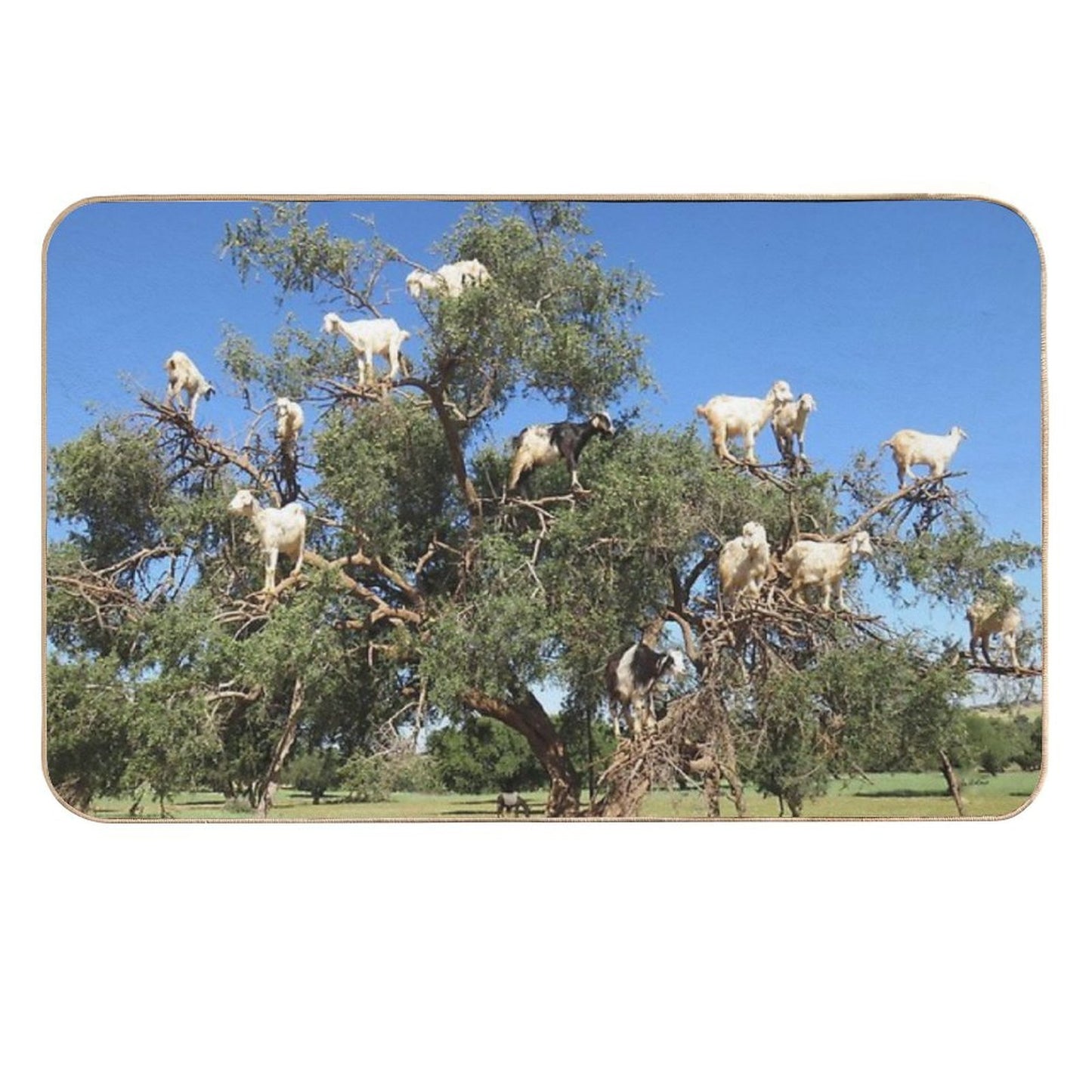 Goats in Trees Toxin-Free Bath Mat
