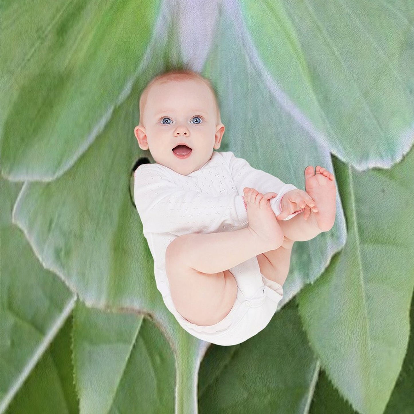 Luna Moth Sustainable Throw Blanket