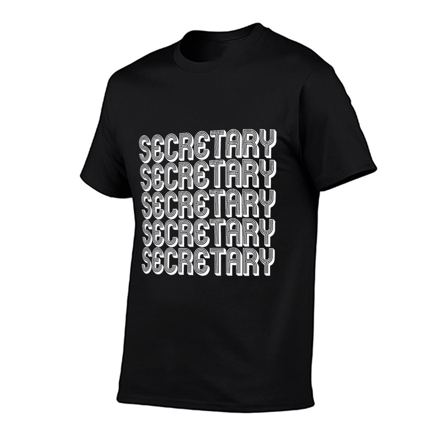 Secretary Affordable Price T-Shirt