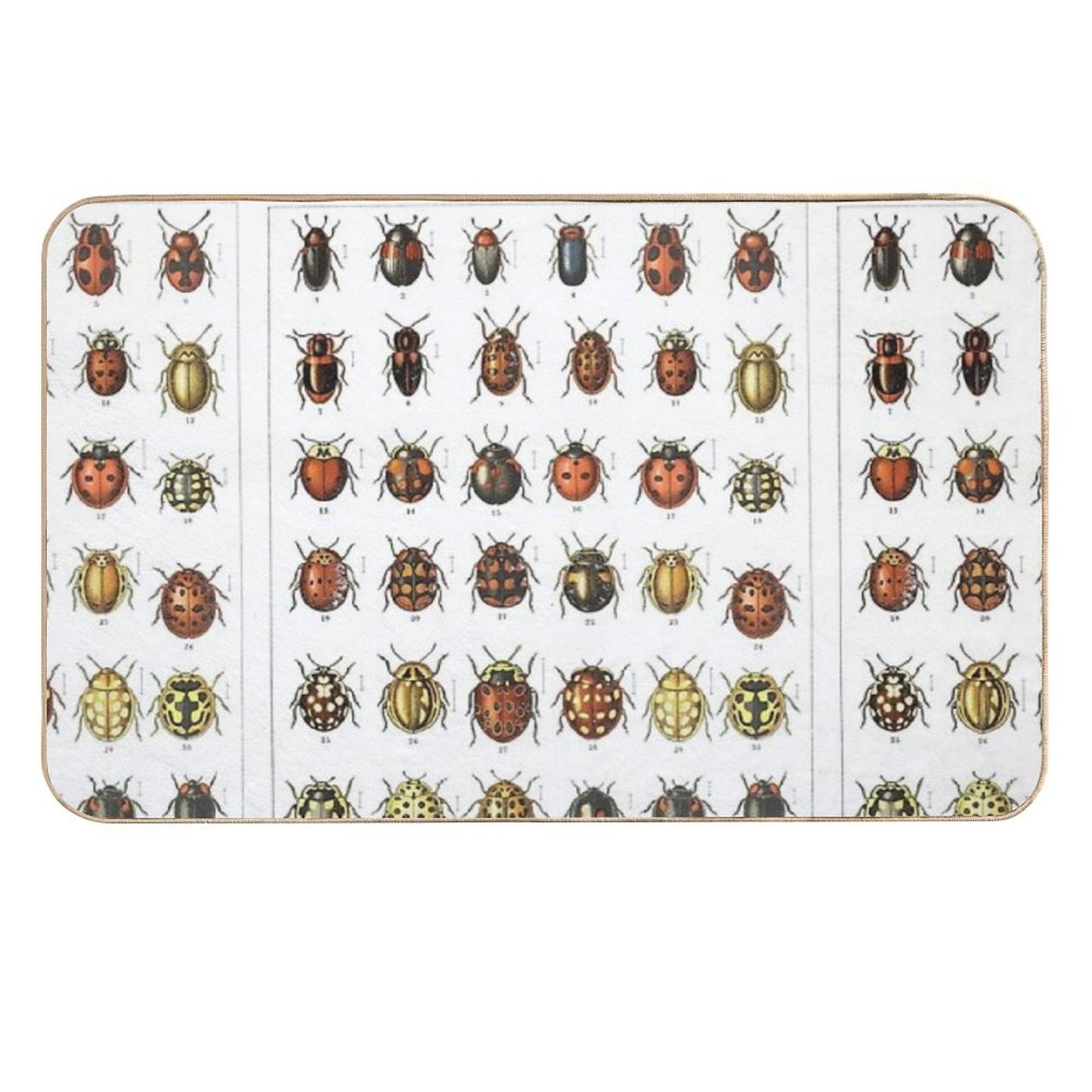 Ladybird Beetles Vintage Scientific Absorbent Bath Mat