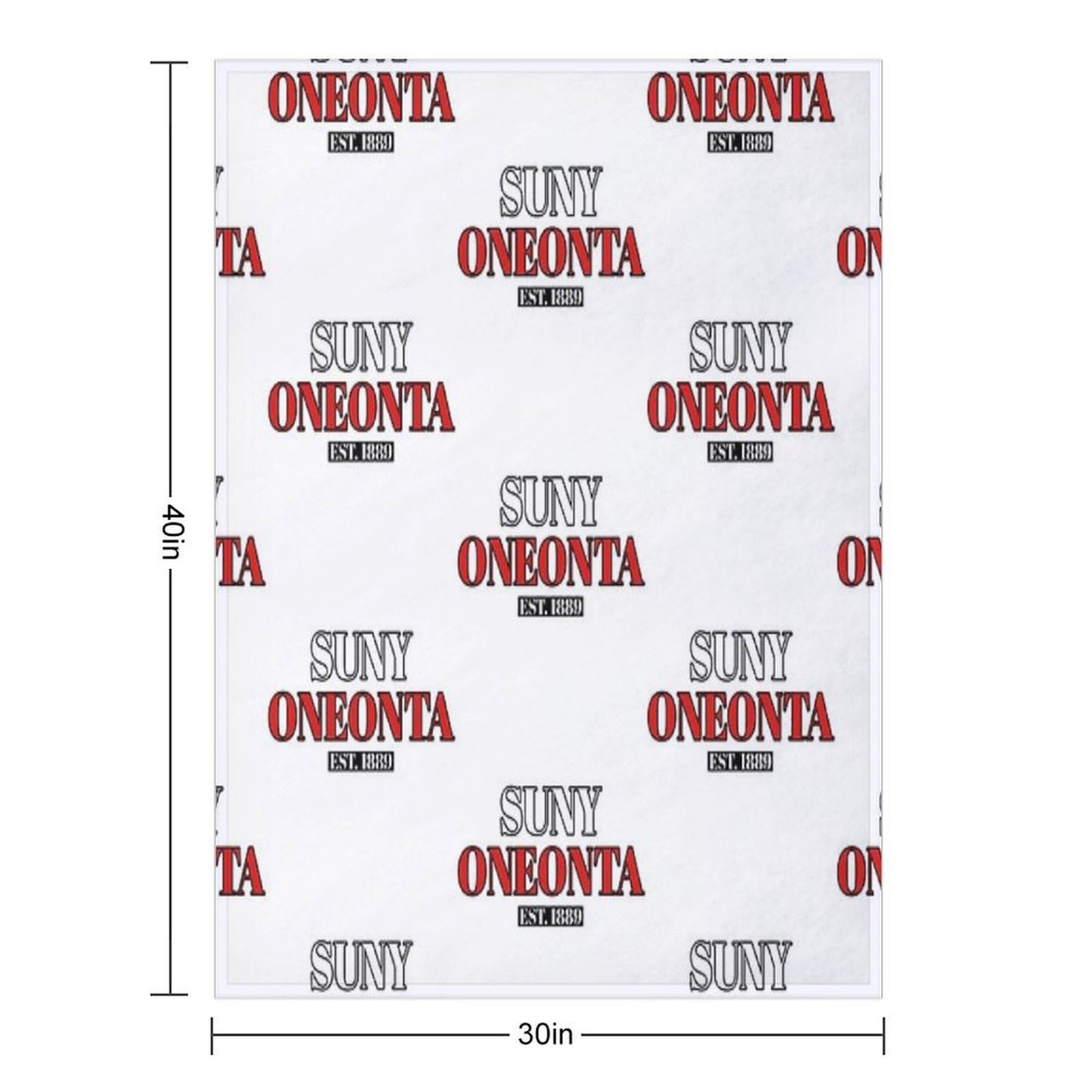 SUNY Oneonta Straightforward Velvety-soft Throw Blanket