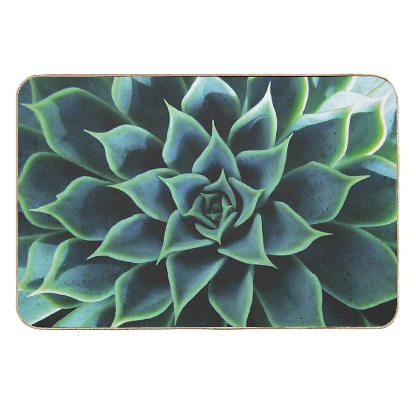 Succulent Fade-Resistant Bath Mat