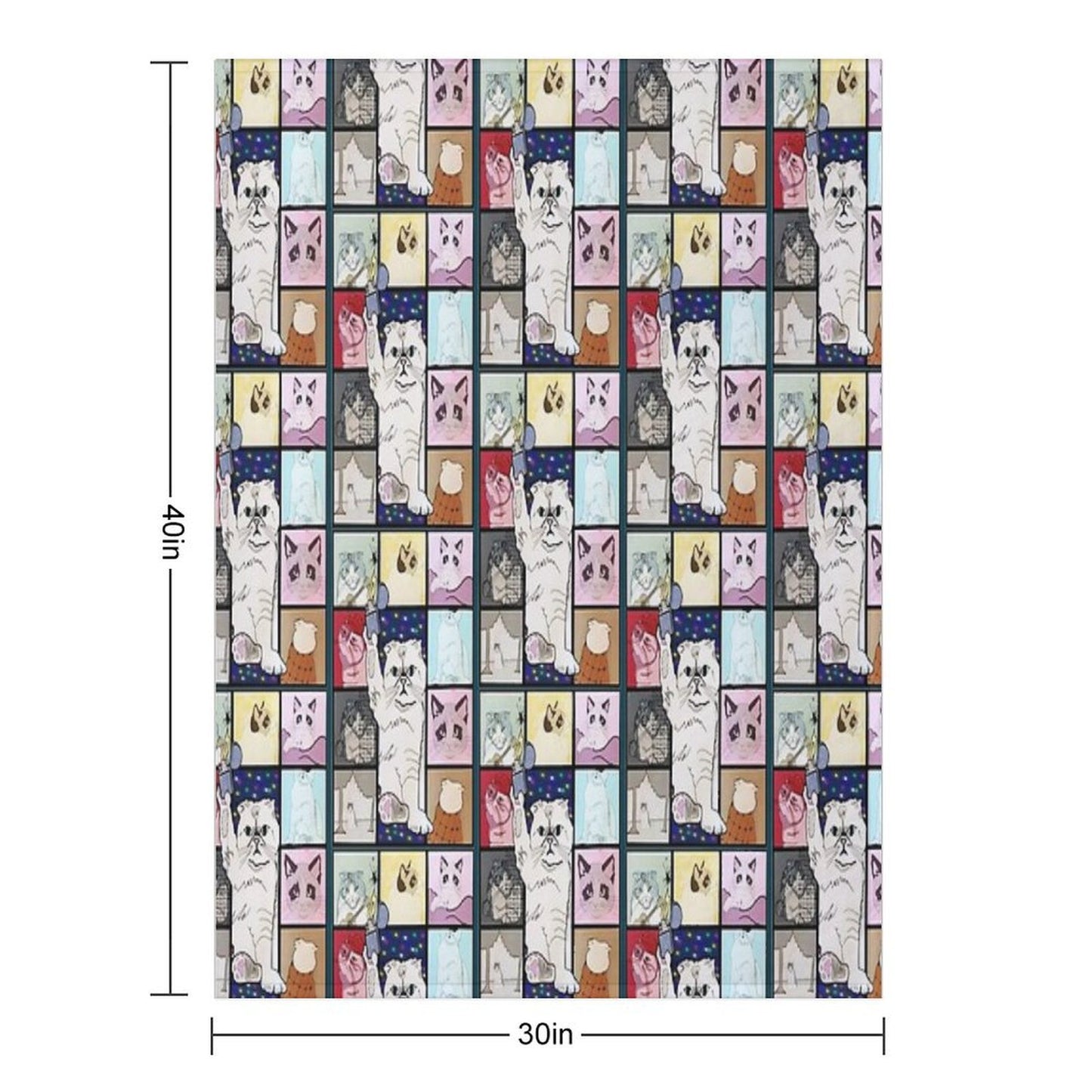 The Eras Tour Cat Version Plush Throw Blanket