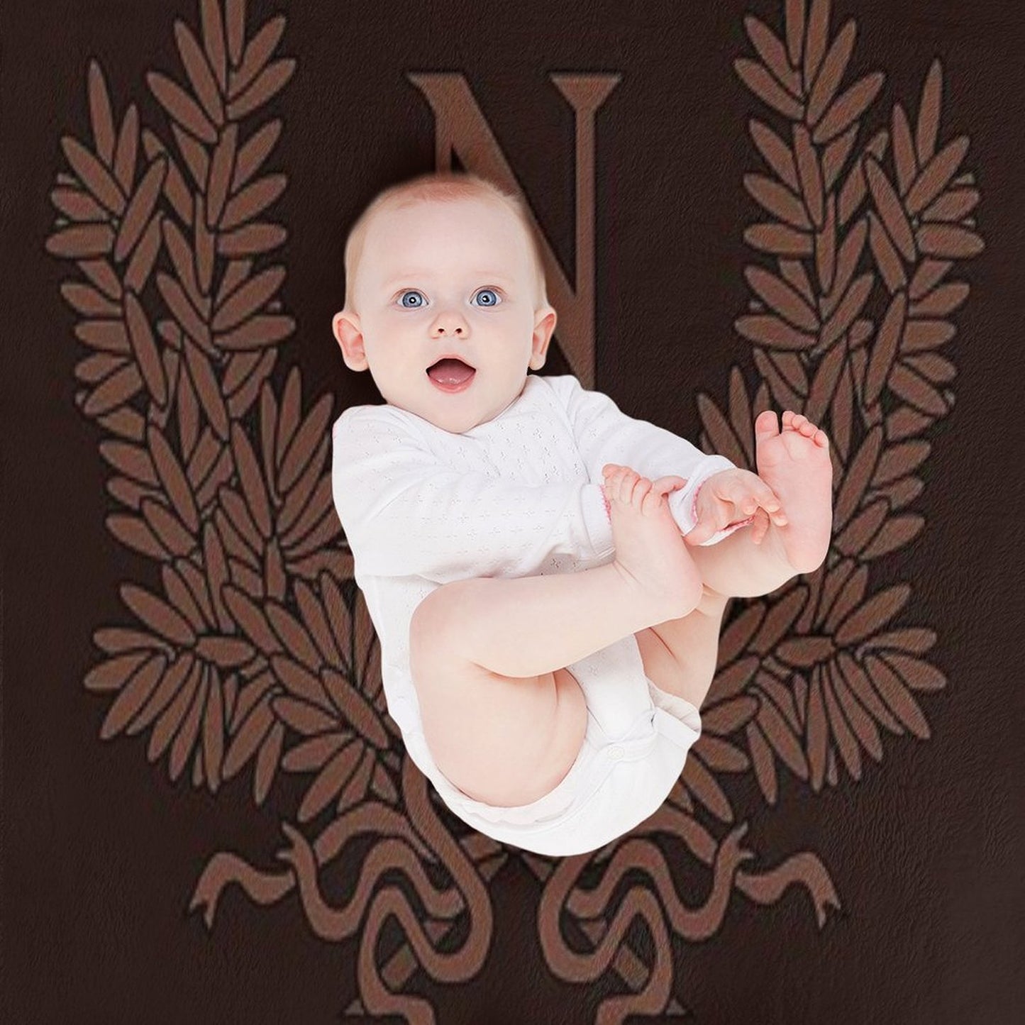 Napoleon Bonaparte Plush Throw Blanket