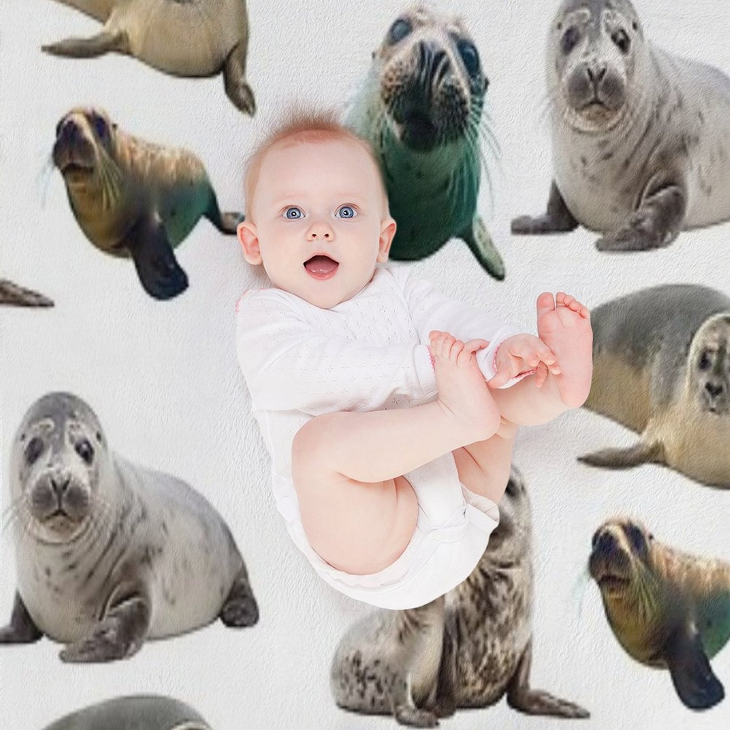 Cute Seals Gift-ready Throw Blanket