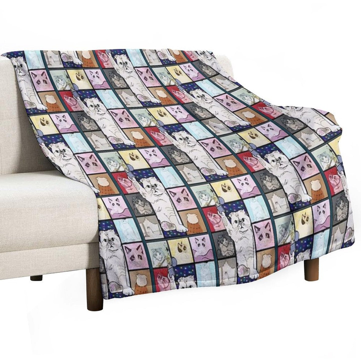 The Eras Tour Cat Version Plush Throw Blanket