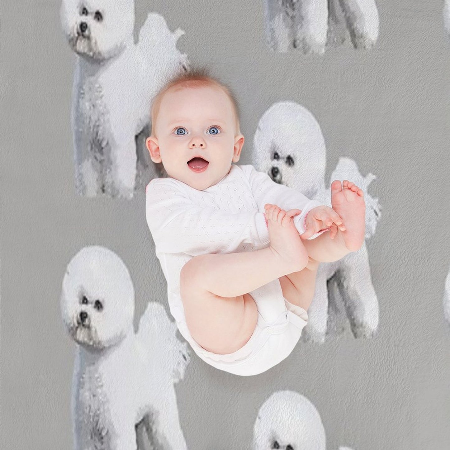 Bichon Frise Standing Beauty Travel-friendly Throw Blanket