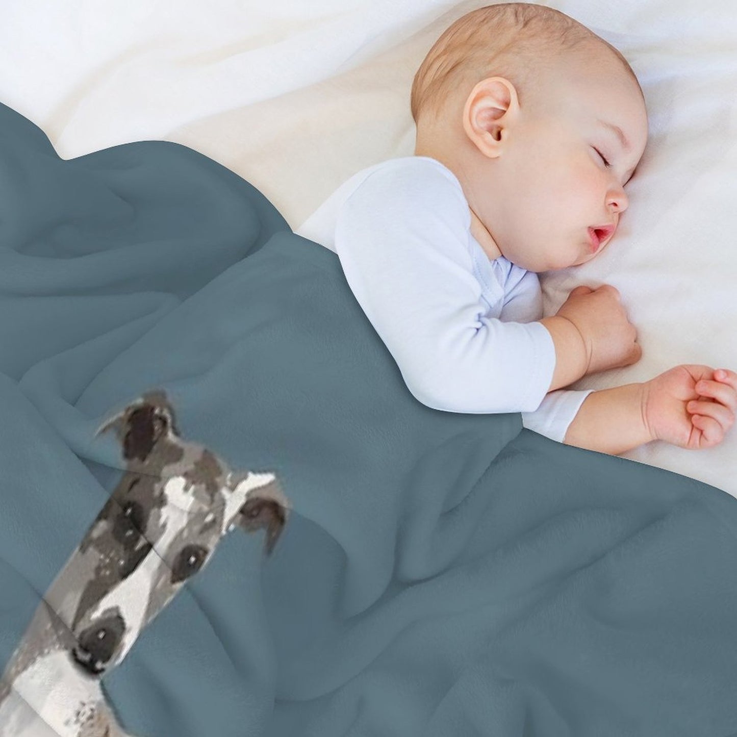 Whippet Shrink-resistant Throw Blanket