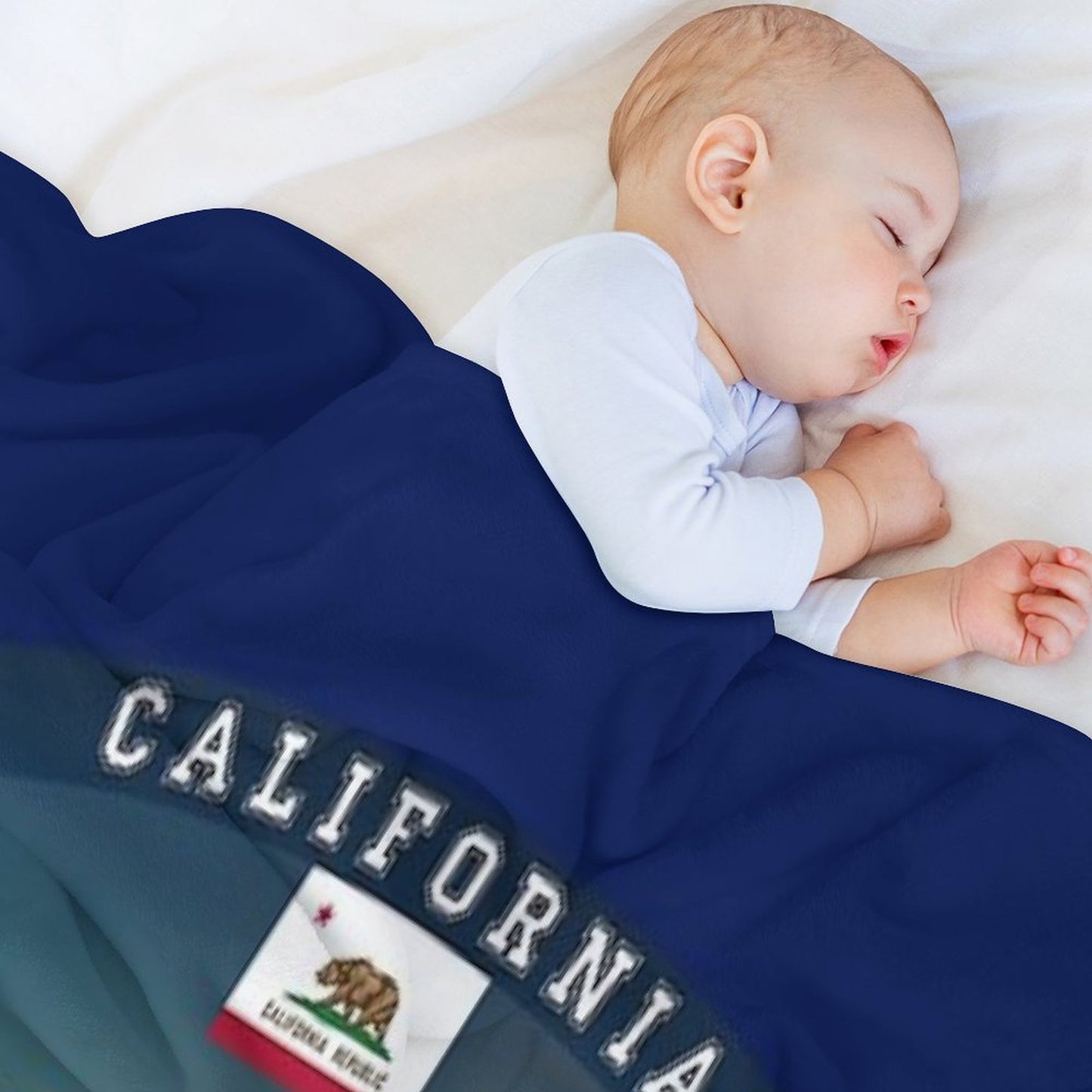 Sacramento California Travel Plush Throw Blanket