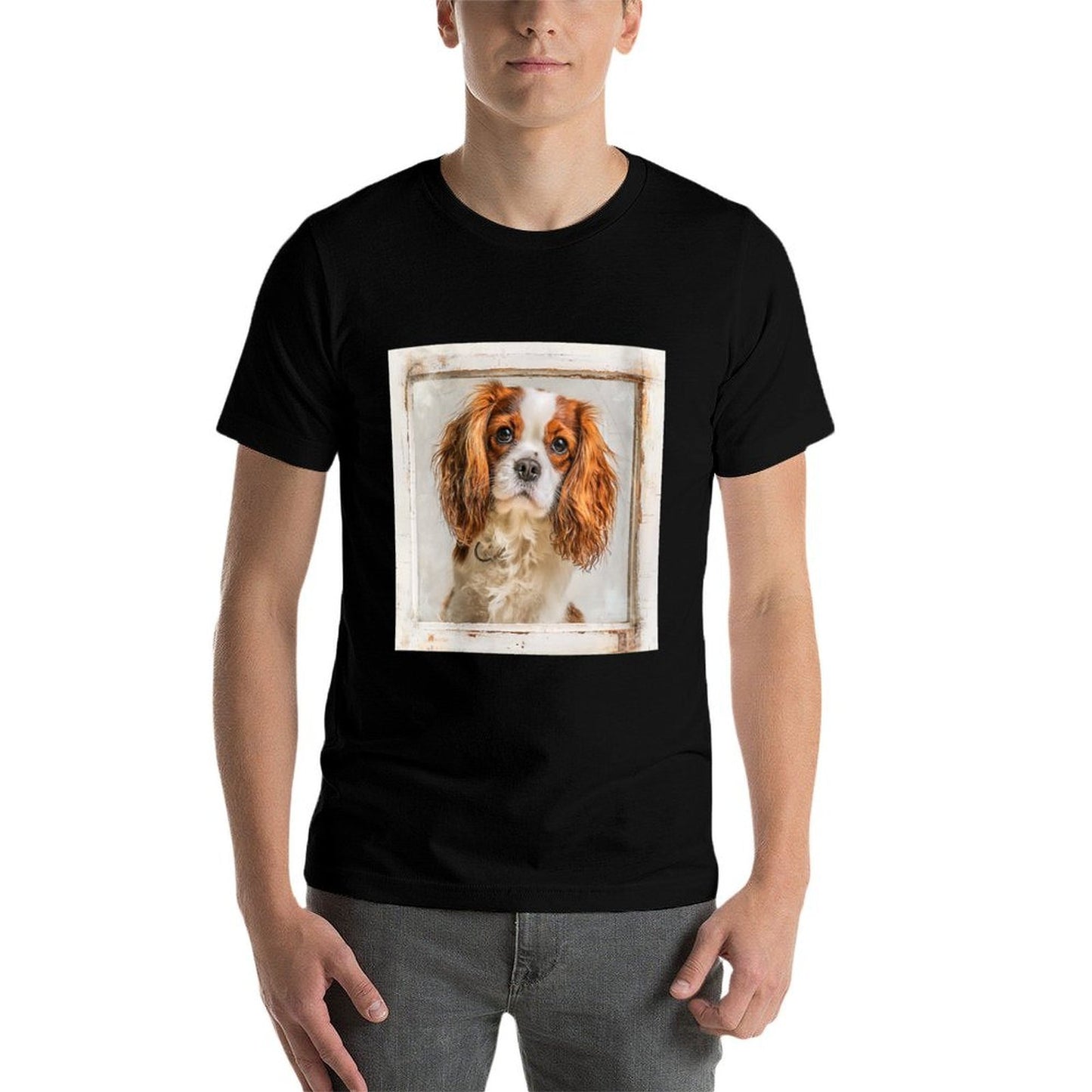 Womens Cavalier King Charles Spaniel Dogs Heathered Texture T-Shirt