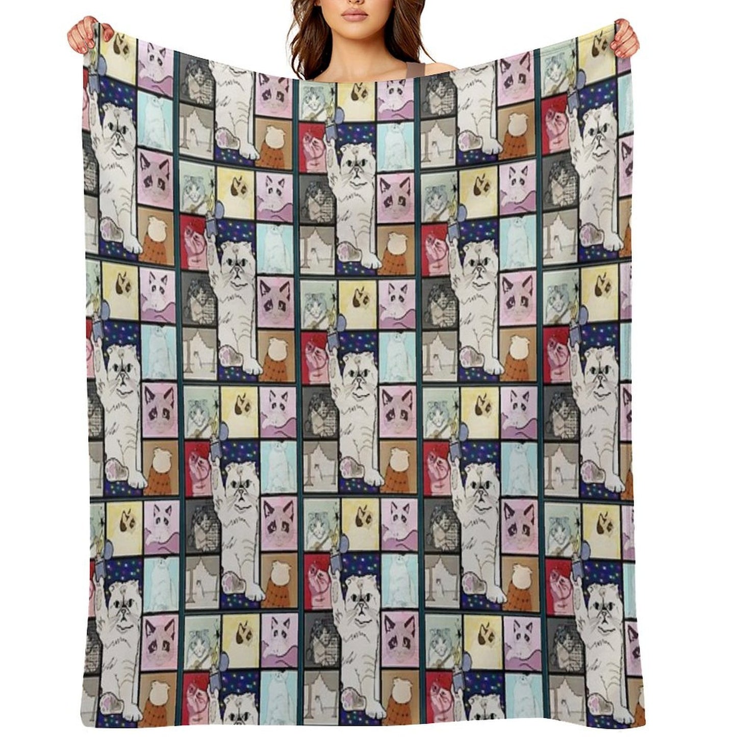 The Eras Tour Cat Version Plush Throw Blanket