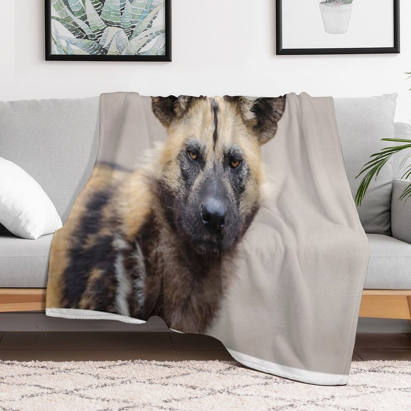 African Wild Dog All-season Throw Blanket