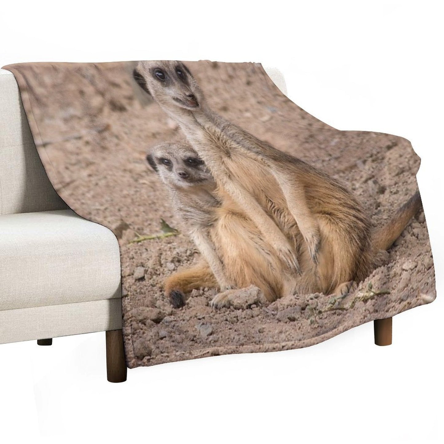 African Animals Male And Female Meerkats Anti-pilling Throw Blanket